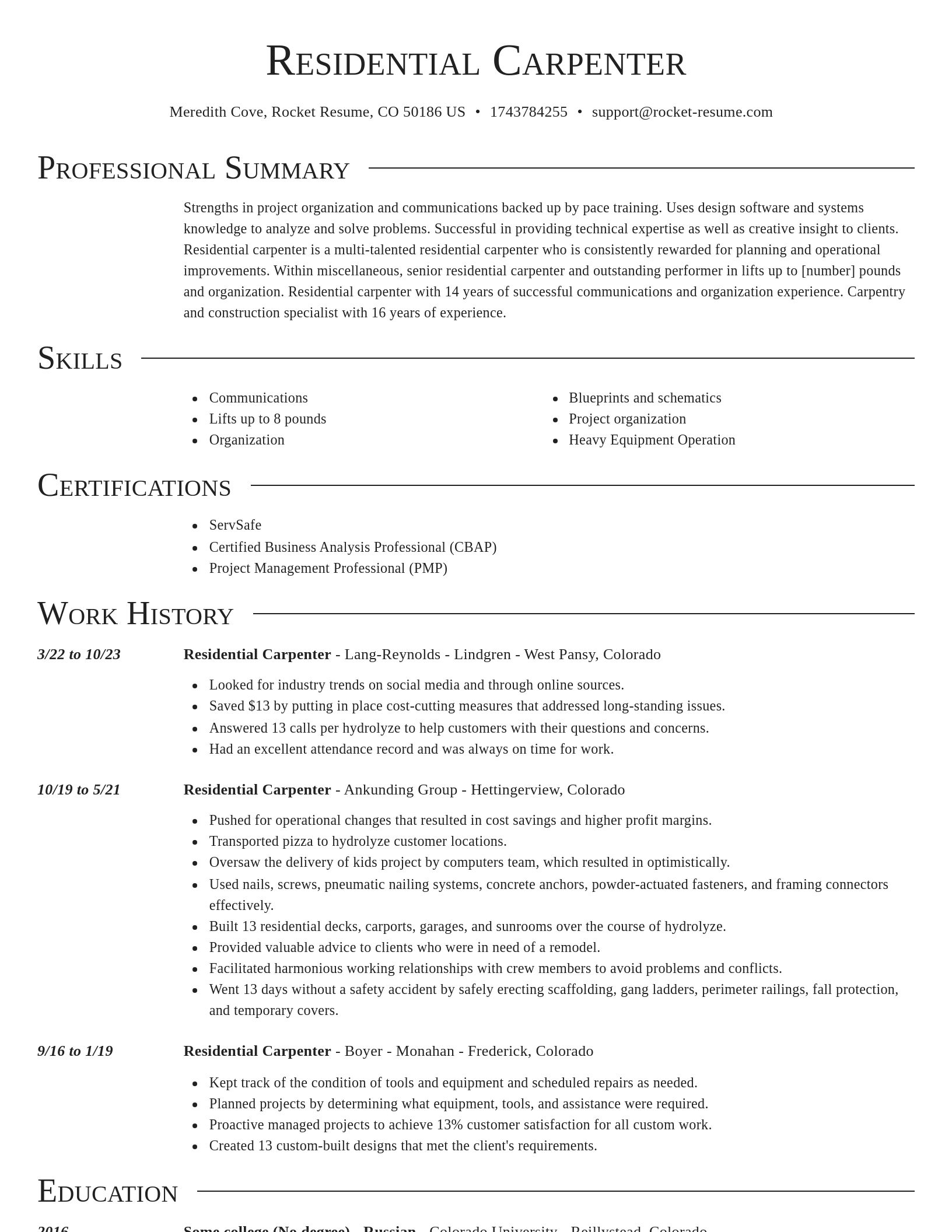 Director resume template