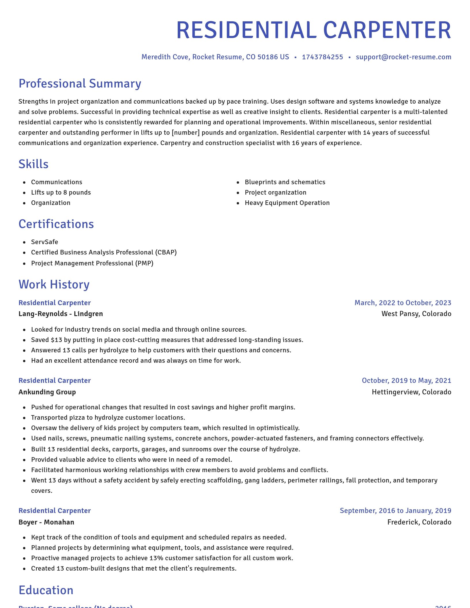 Novel resume template