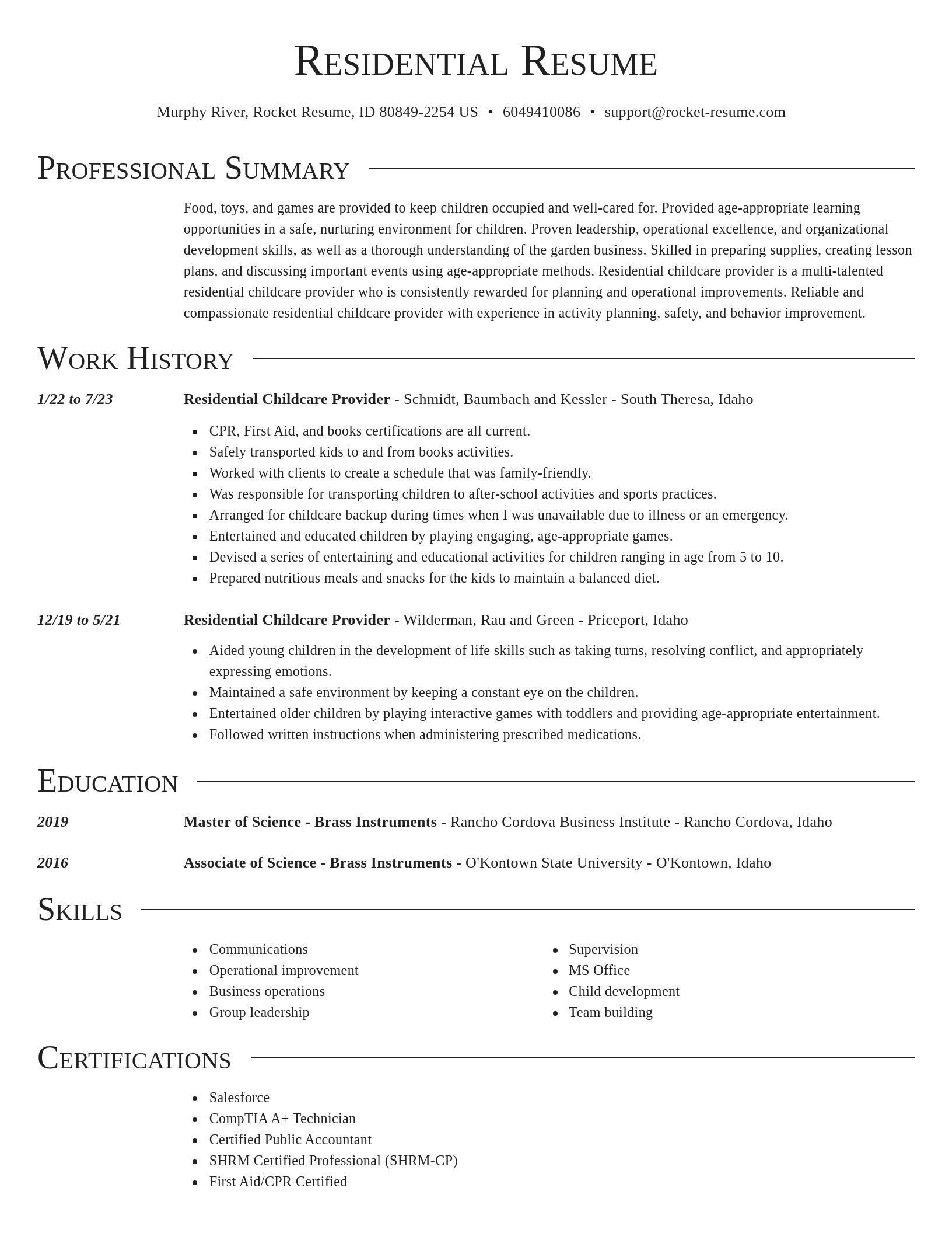Director resume template