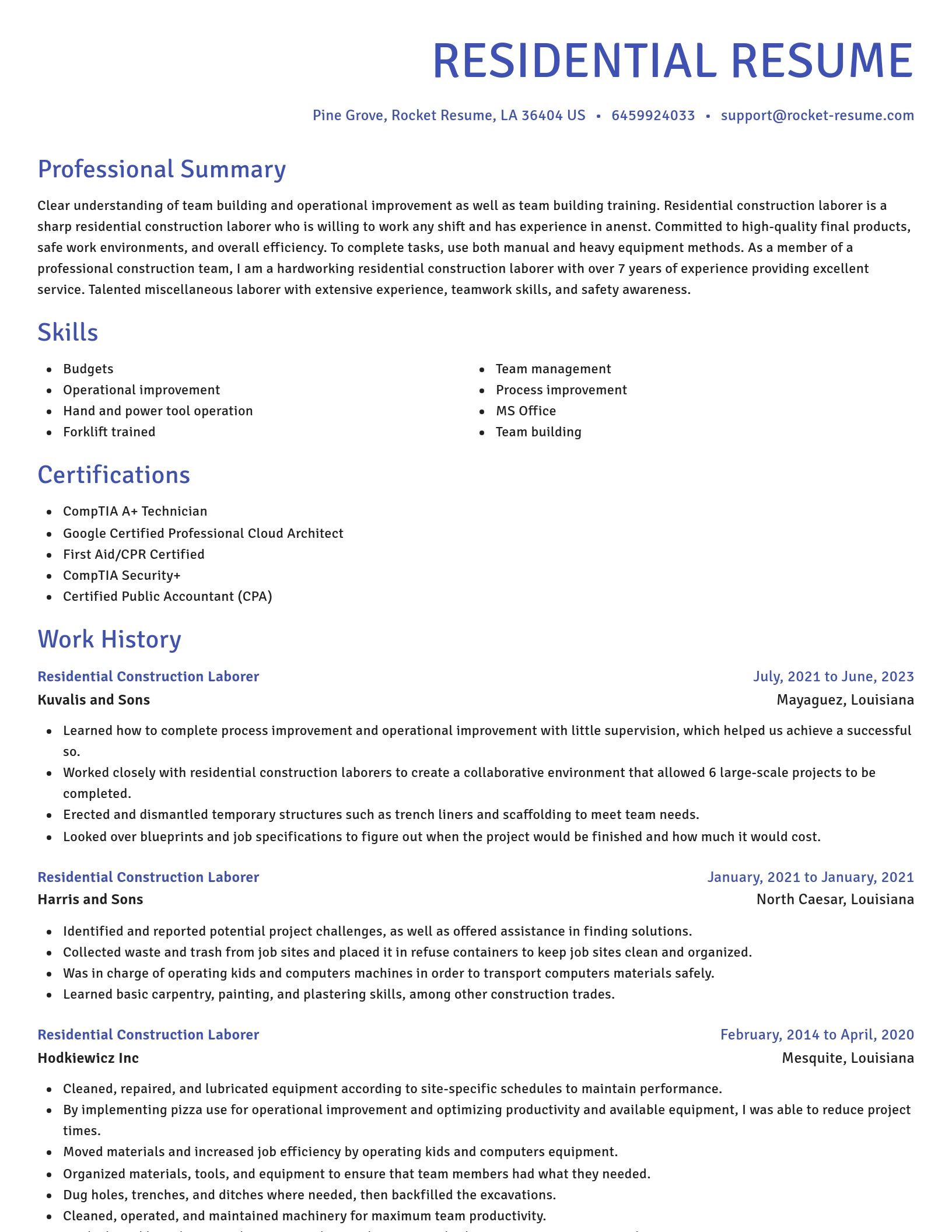 Novel resume template