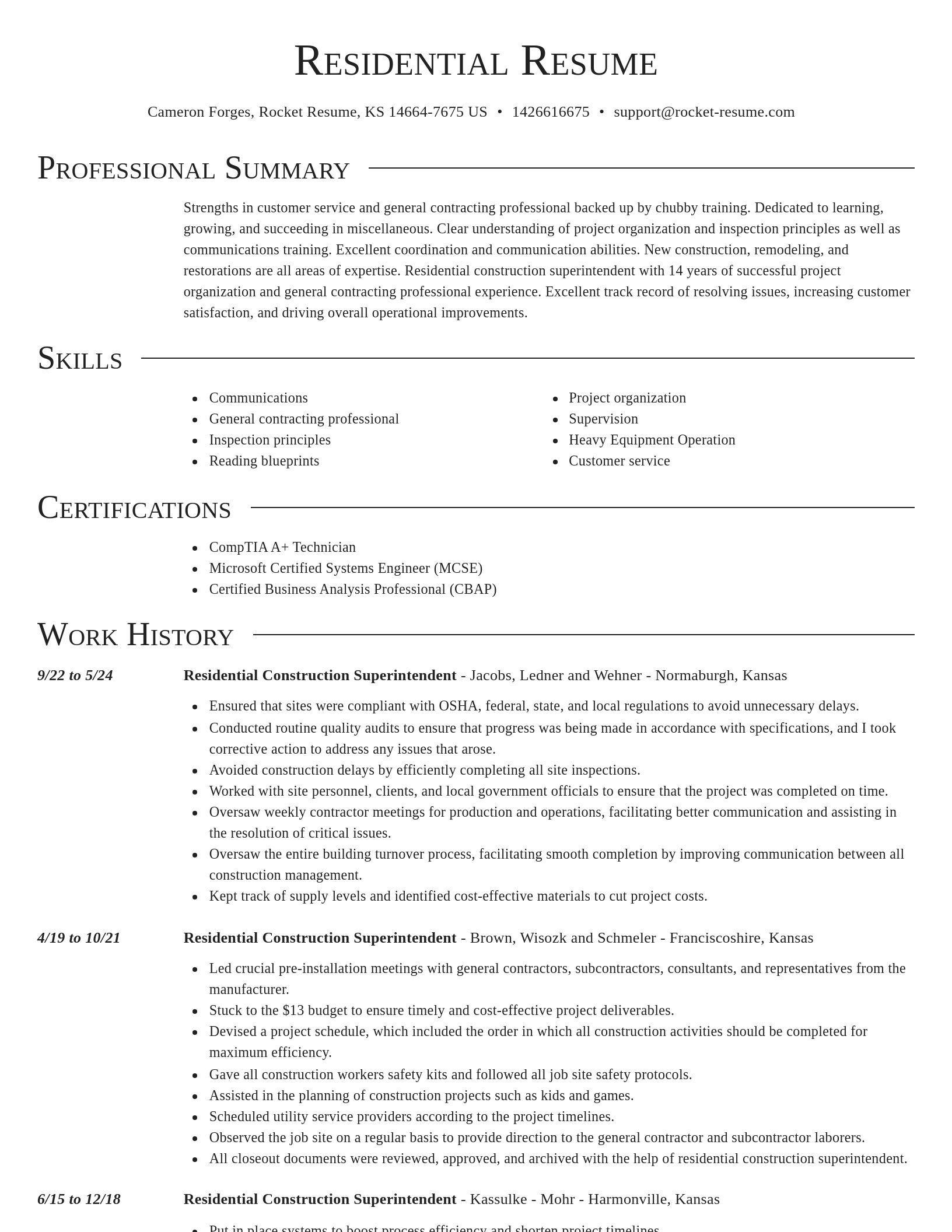 Director resume template