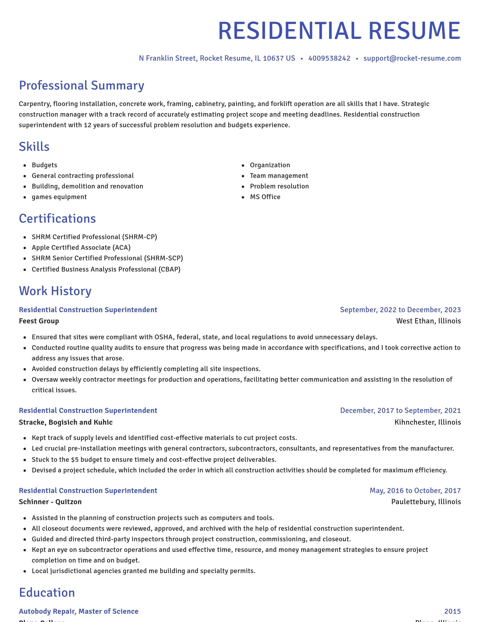 Novel resume template