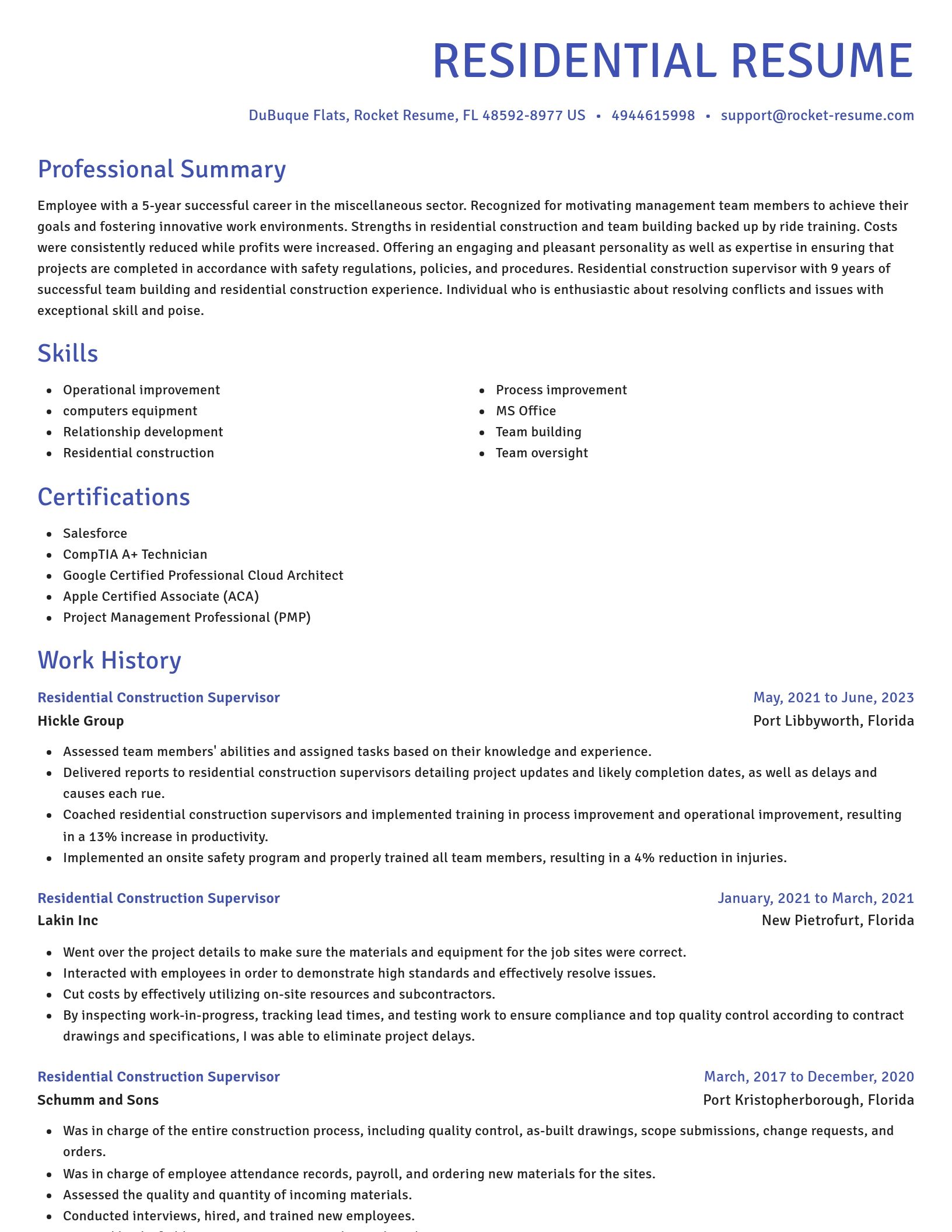 Novel resume template