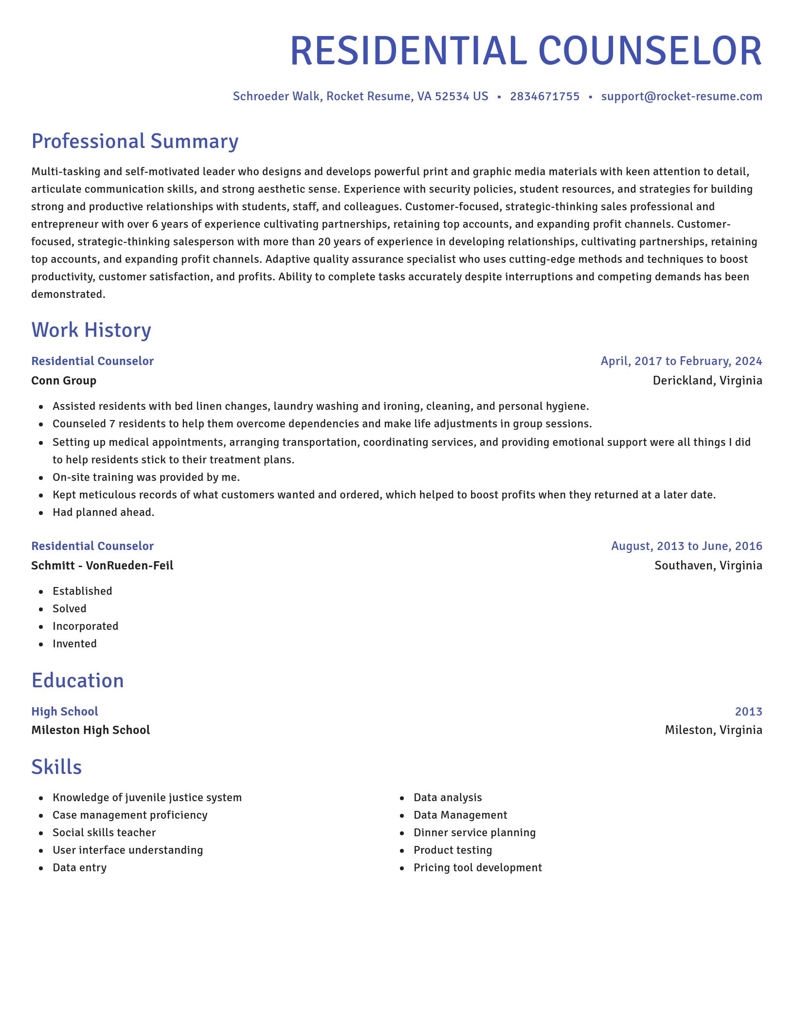 Novel resume template