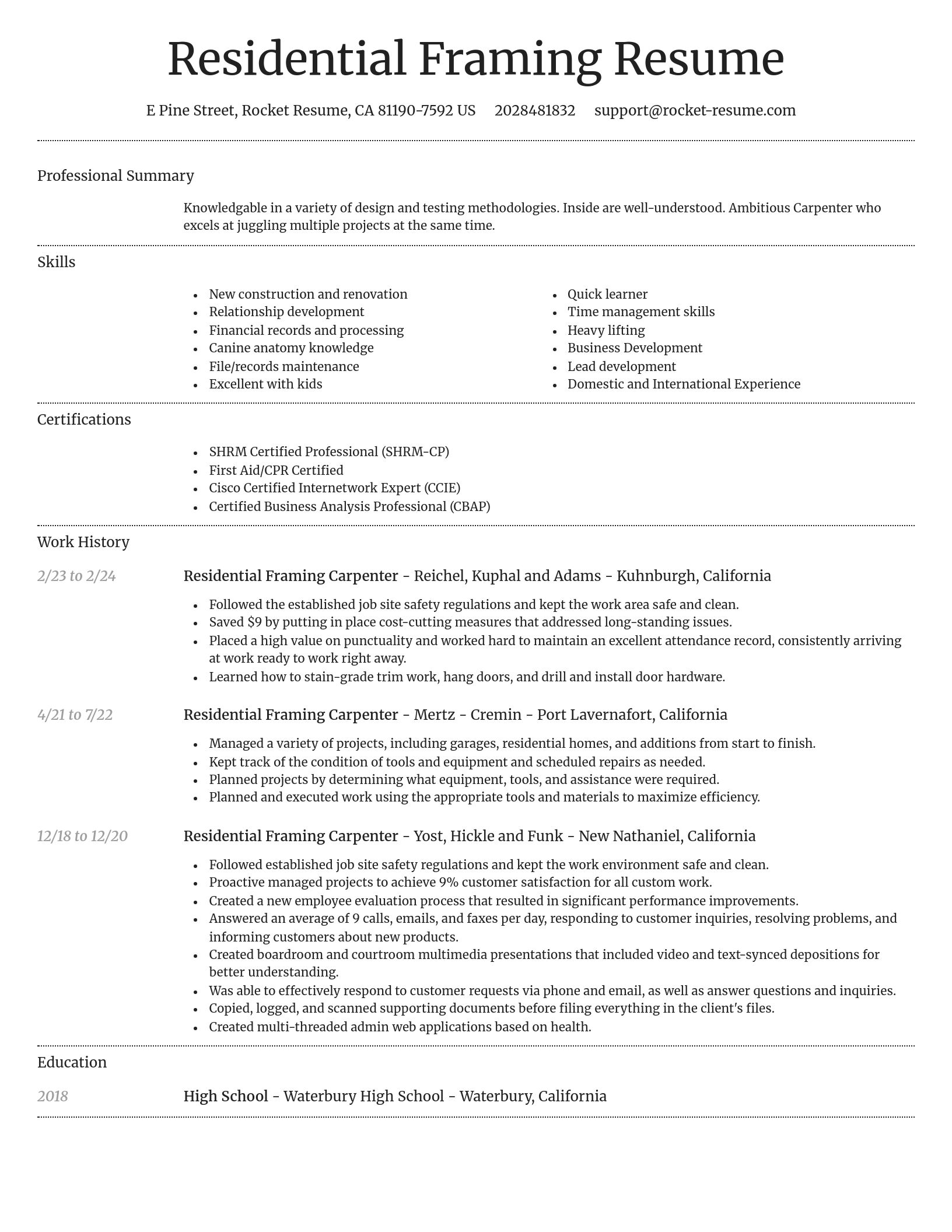 Dignified resume template