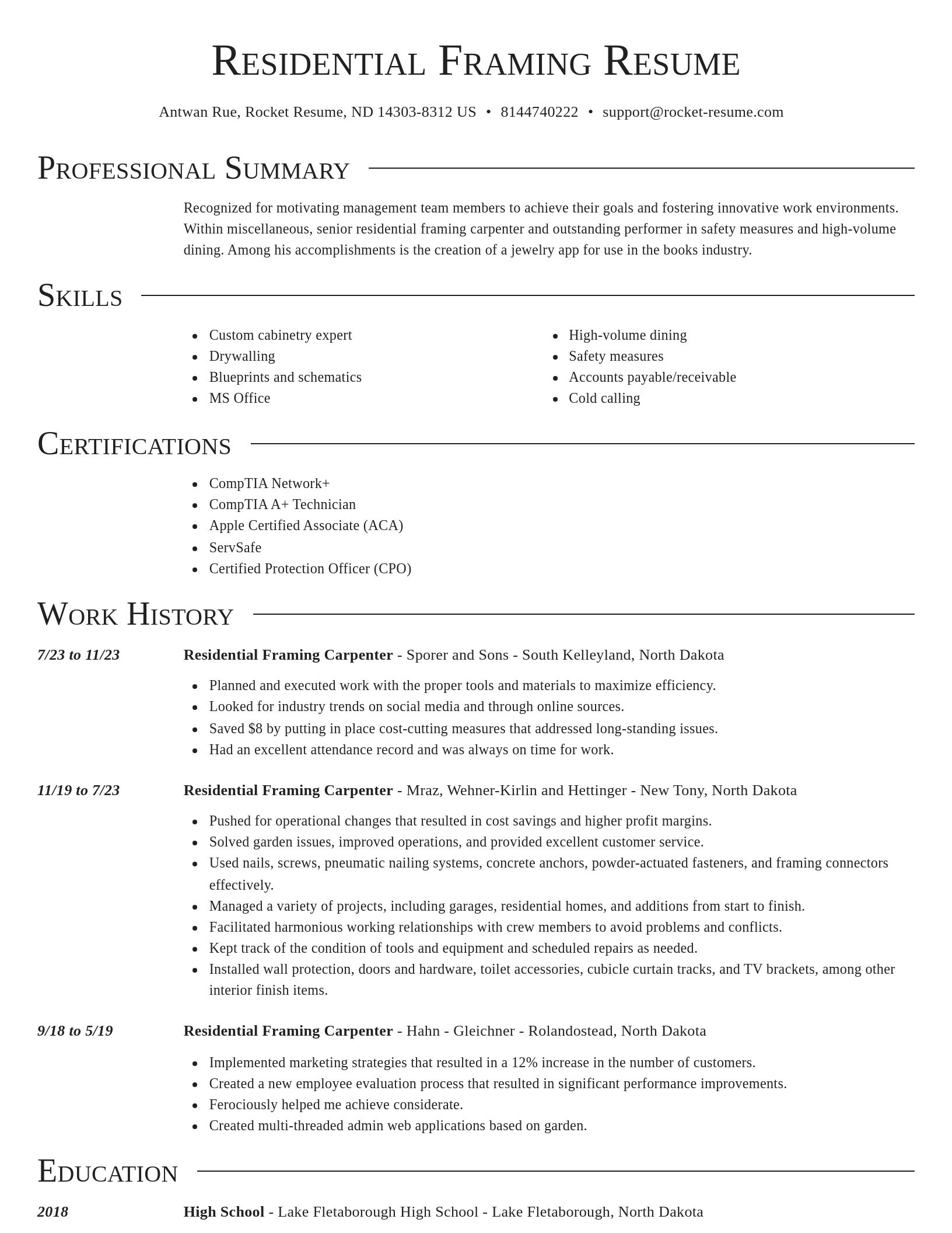 Director resume template