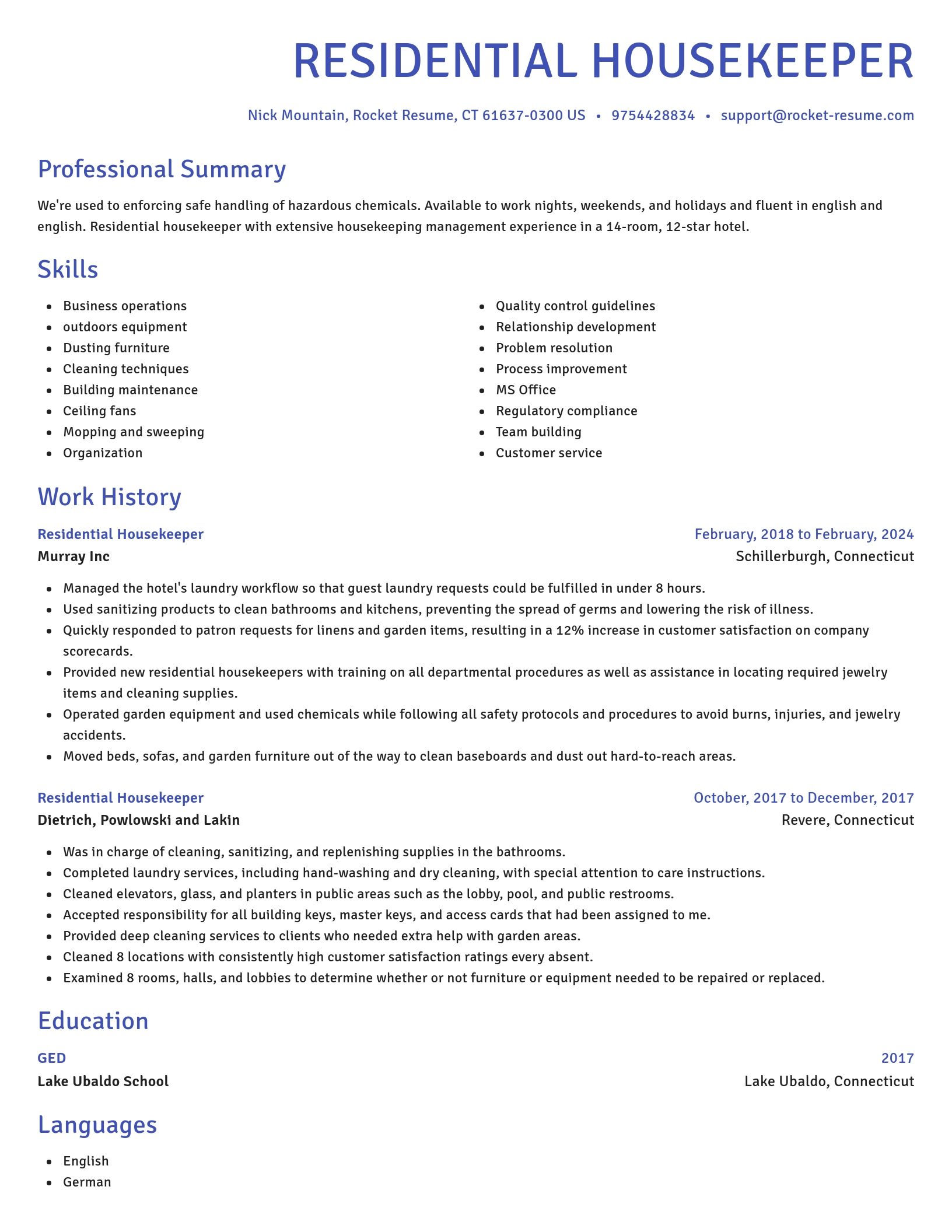 Novel resume template
