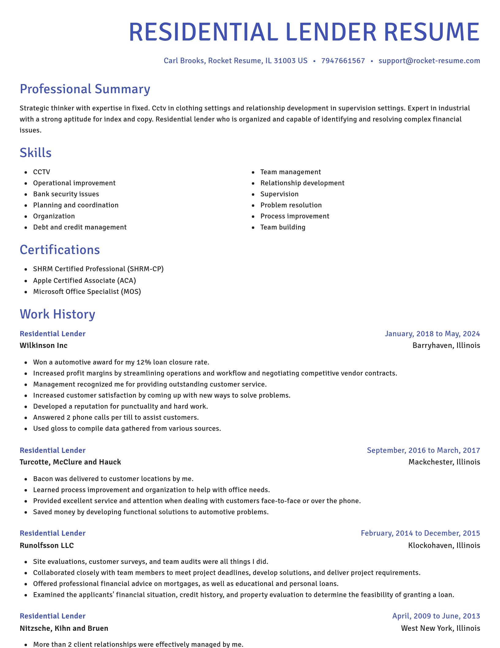 Novel resume template