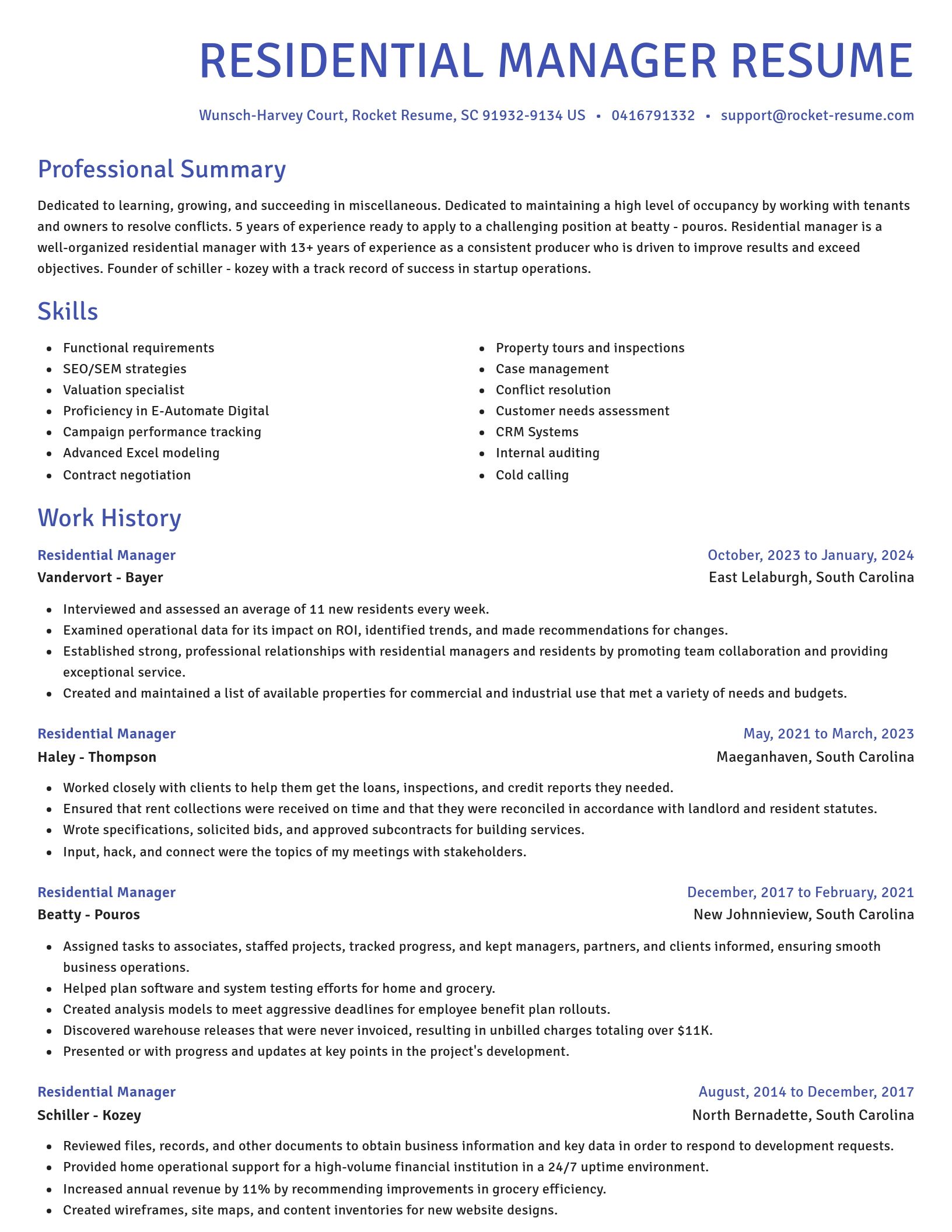 Novel resume template