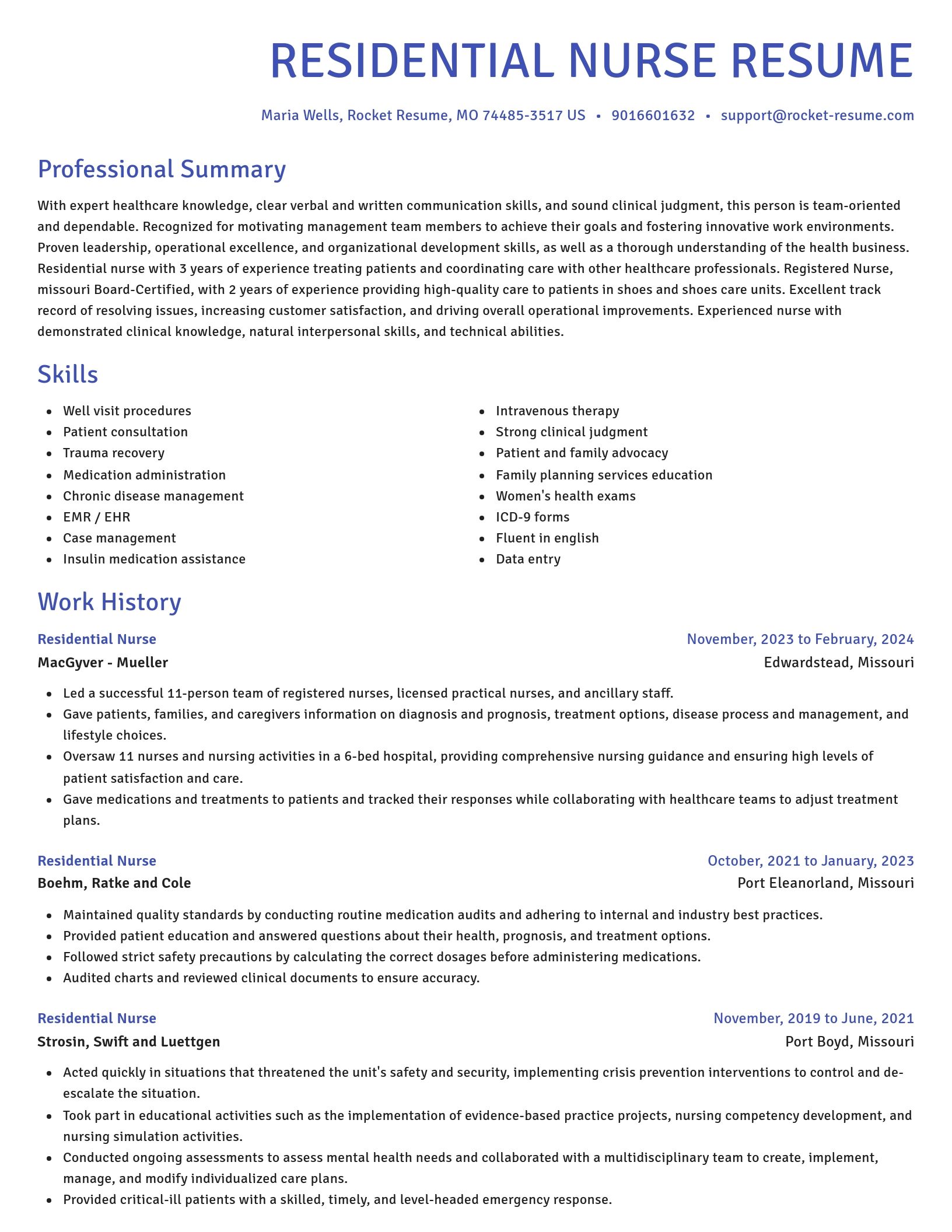 Novel resume template