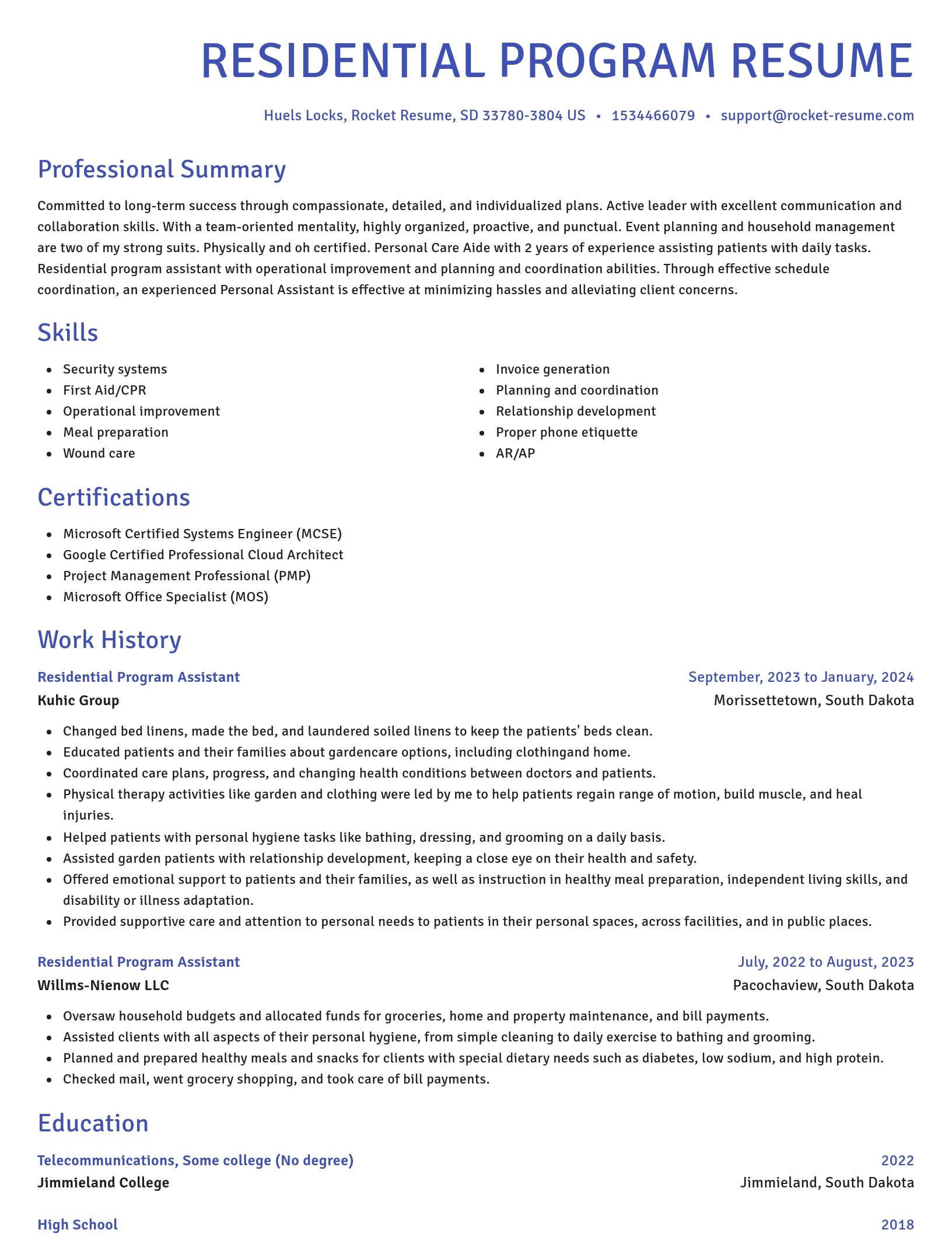 Novel resume template
