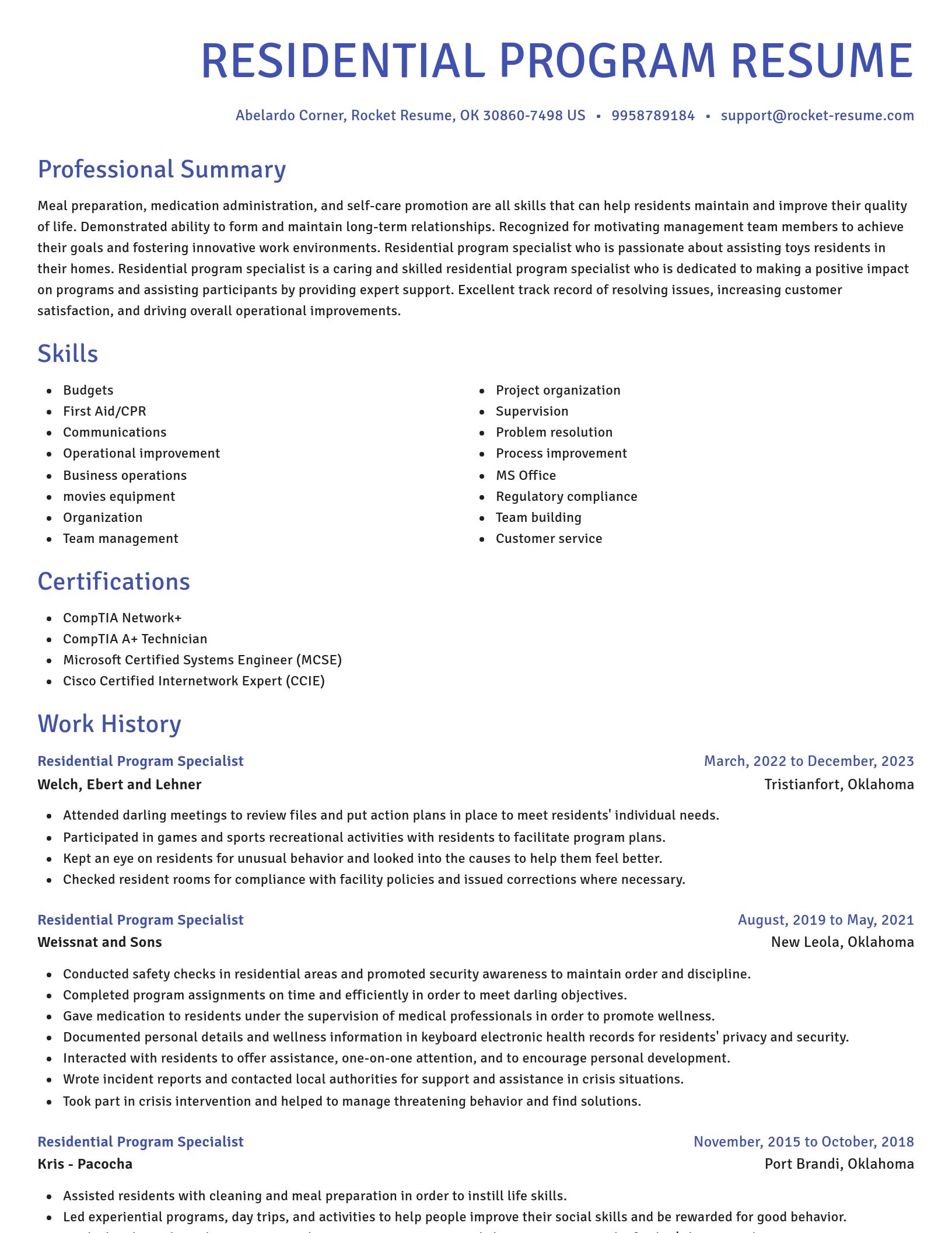 Novel resume template