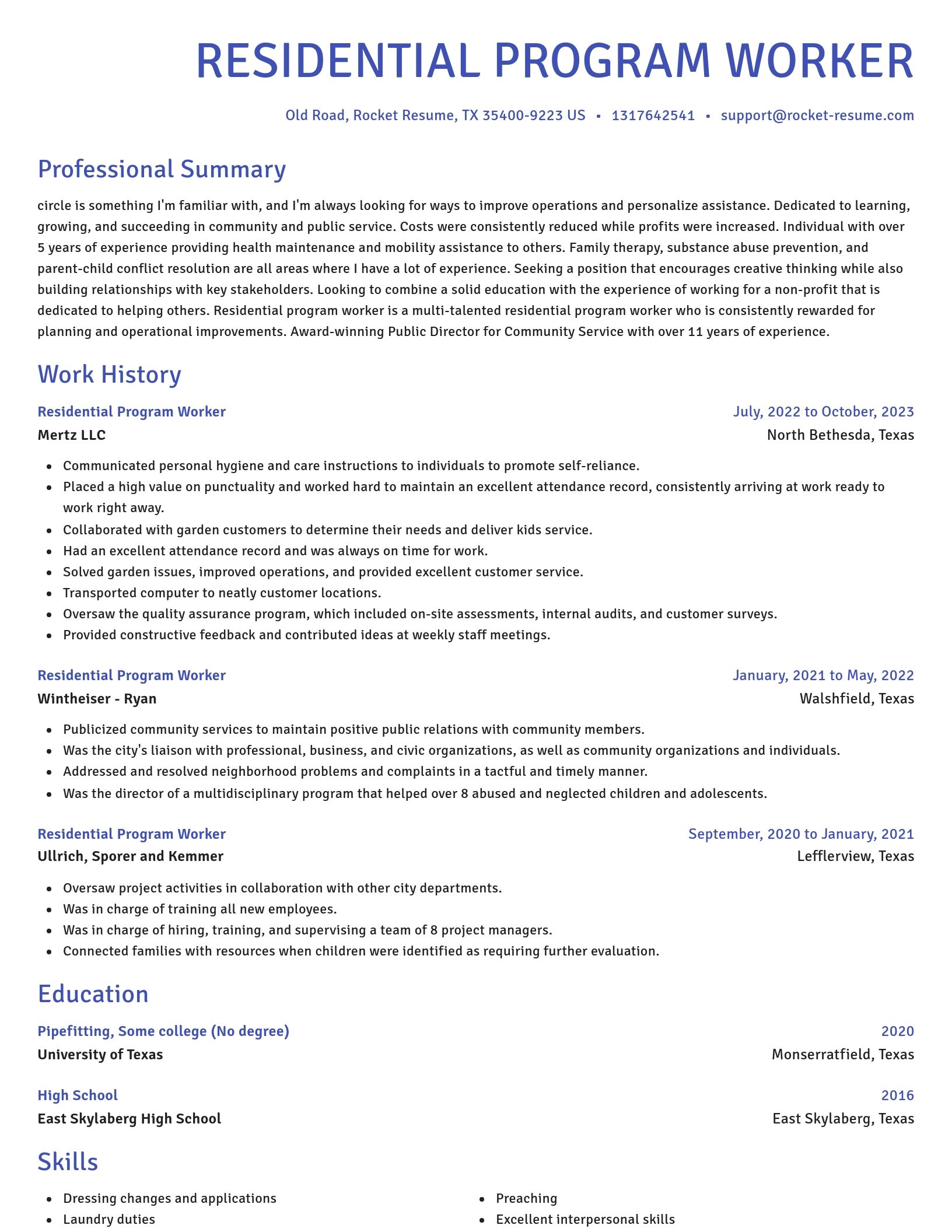 Novel resume template