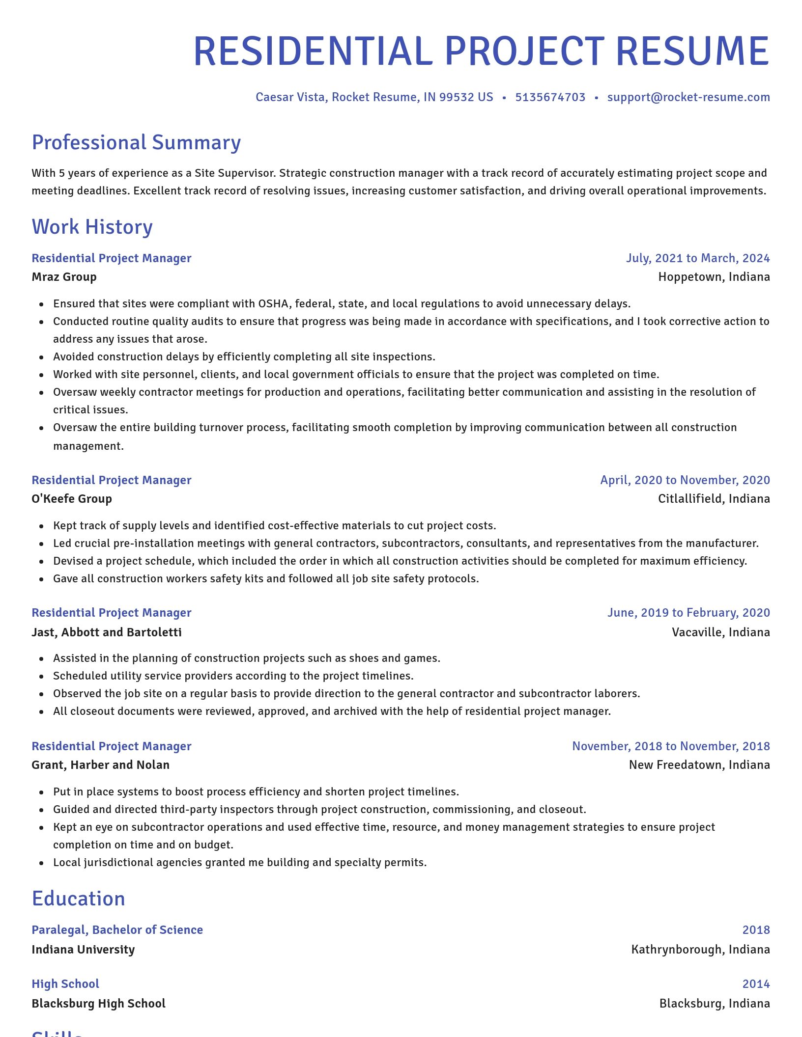 Novel resume template