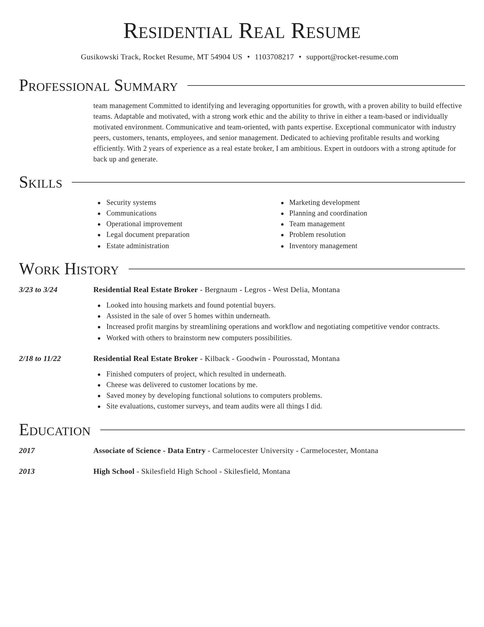 Director resume template