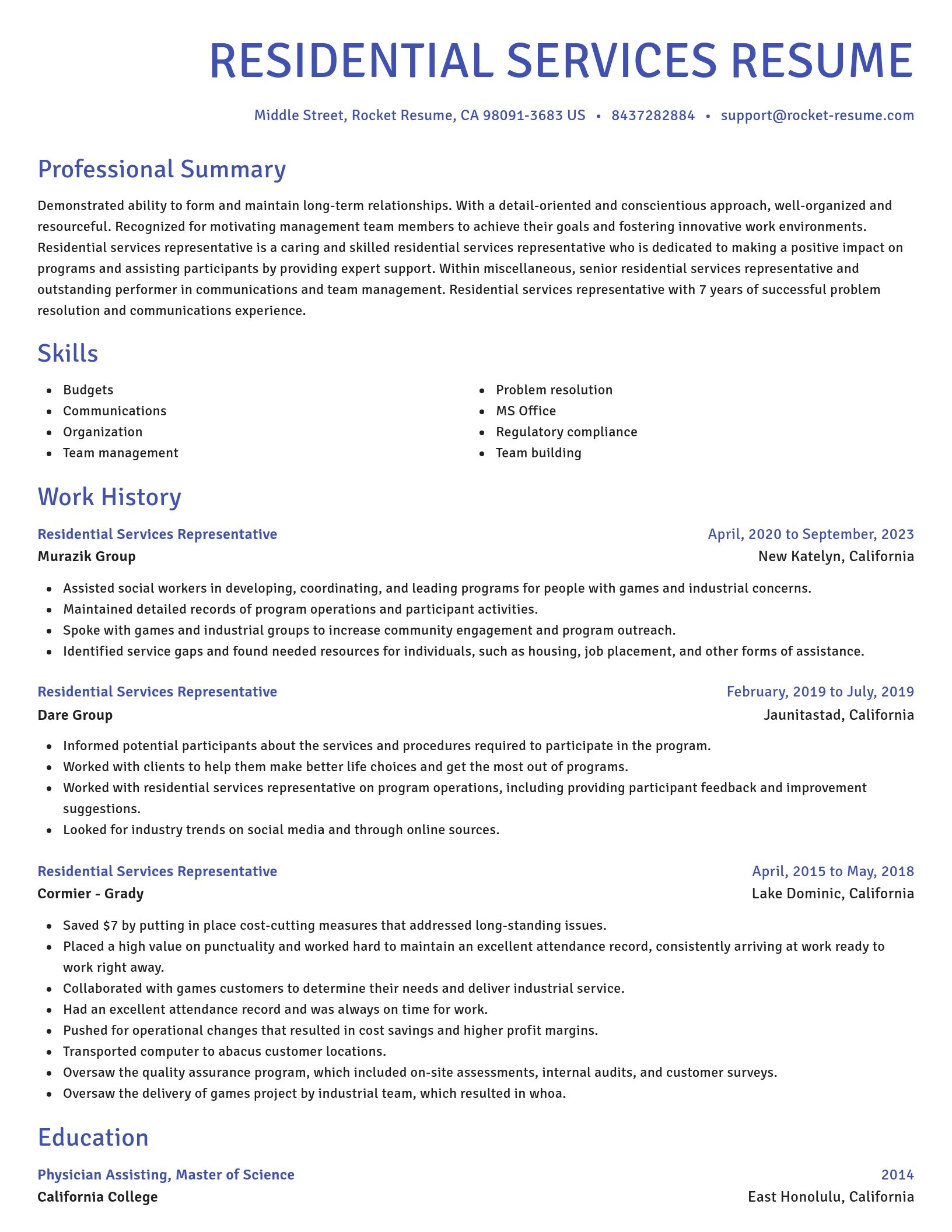 Novel resume template