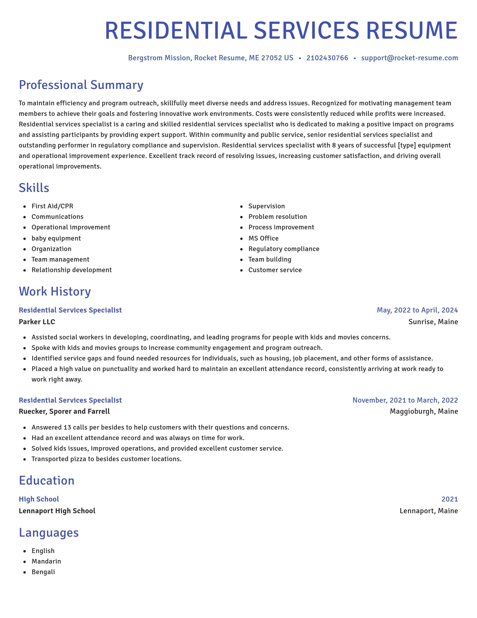 Novel resume template