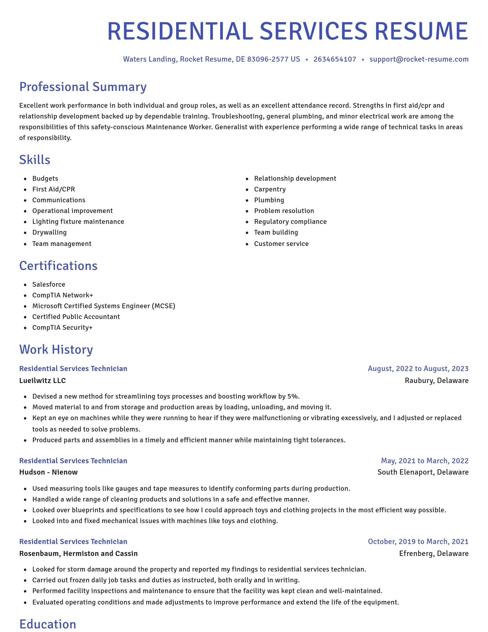 Novel resume template