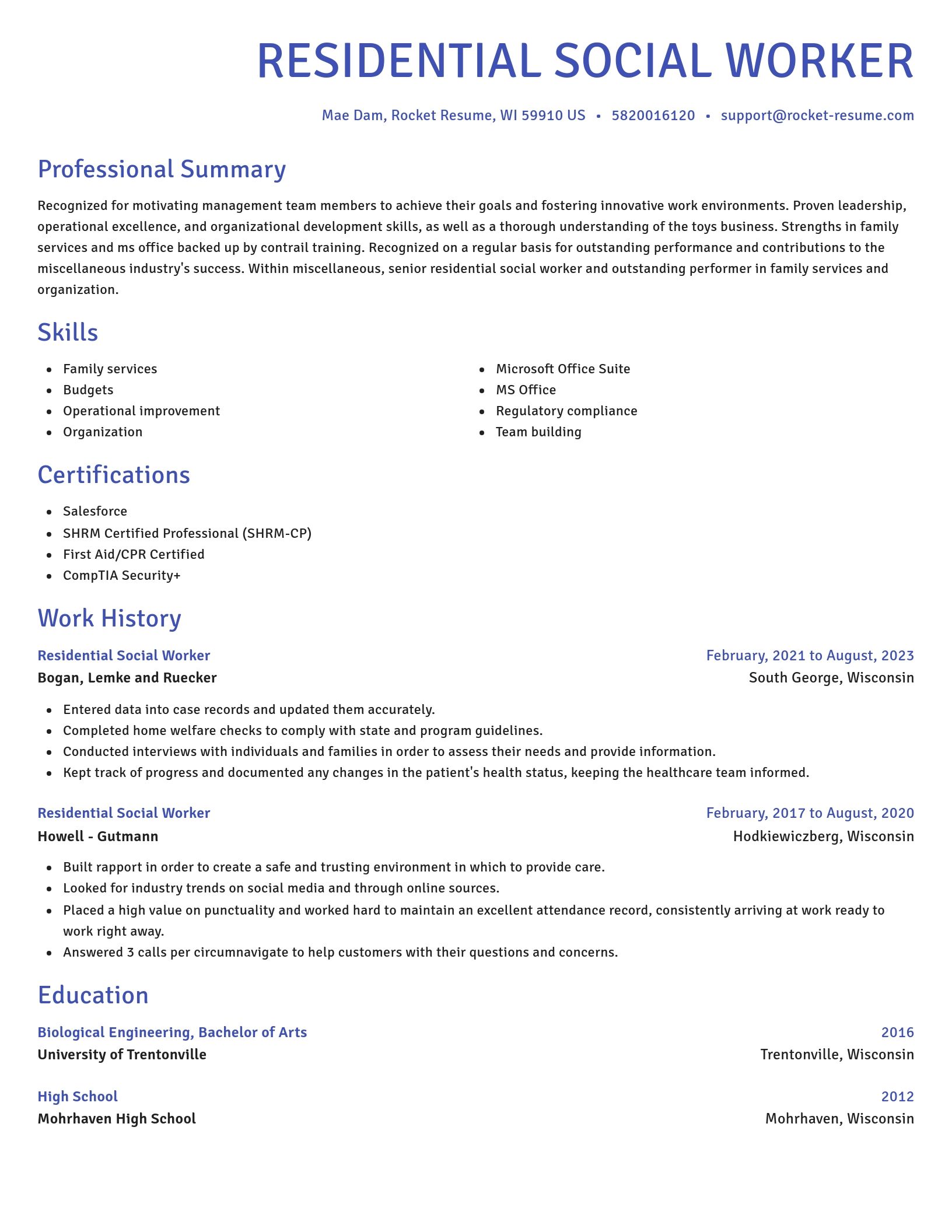Novel resume template