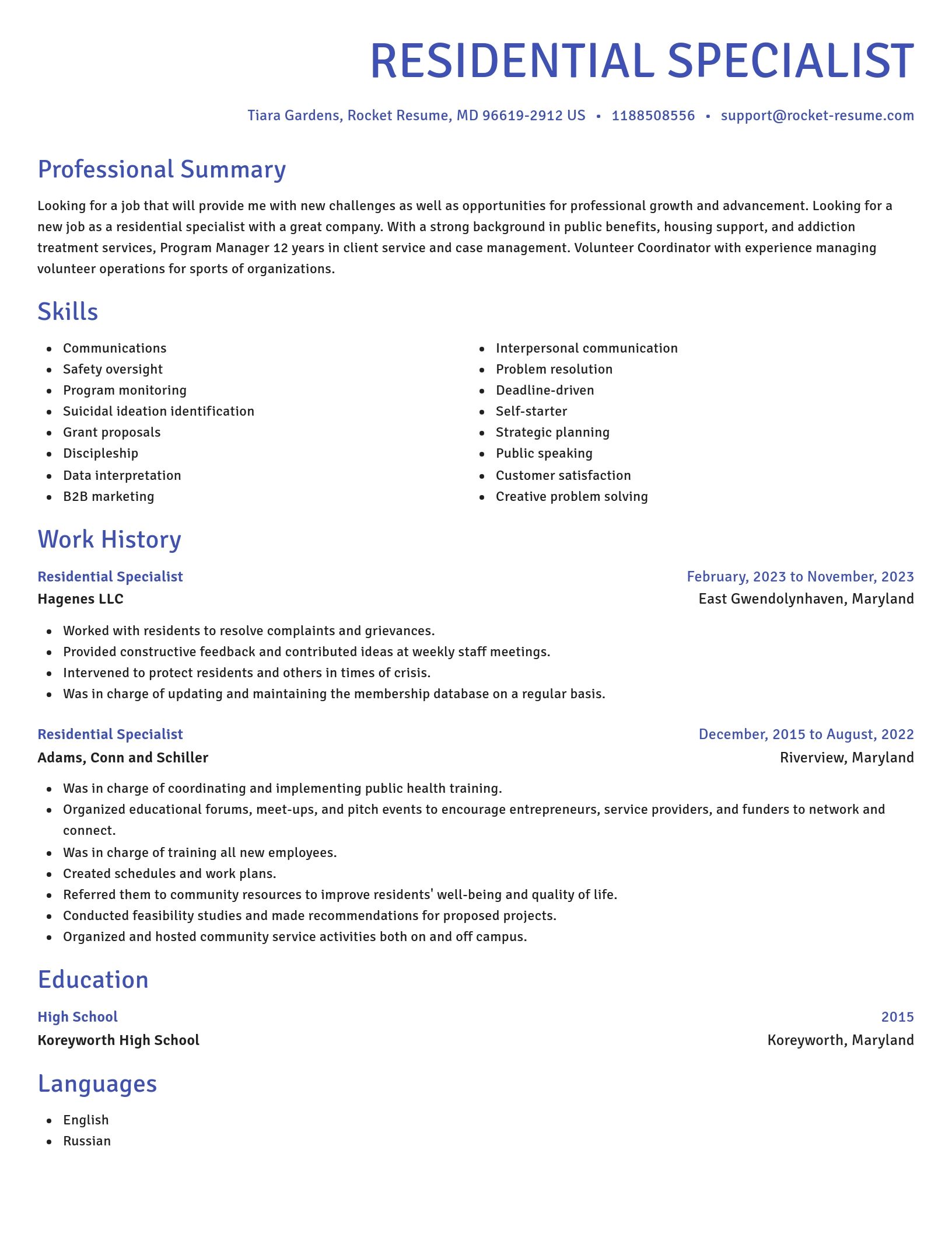 Novel resume template
