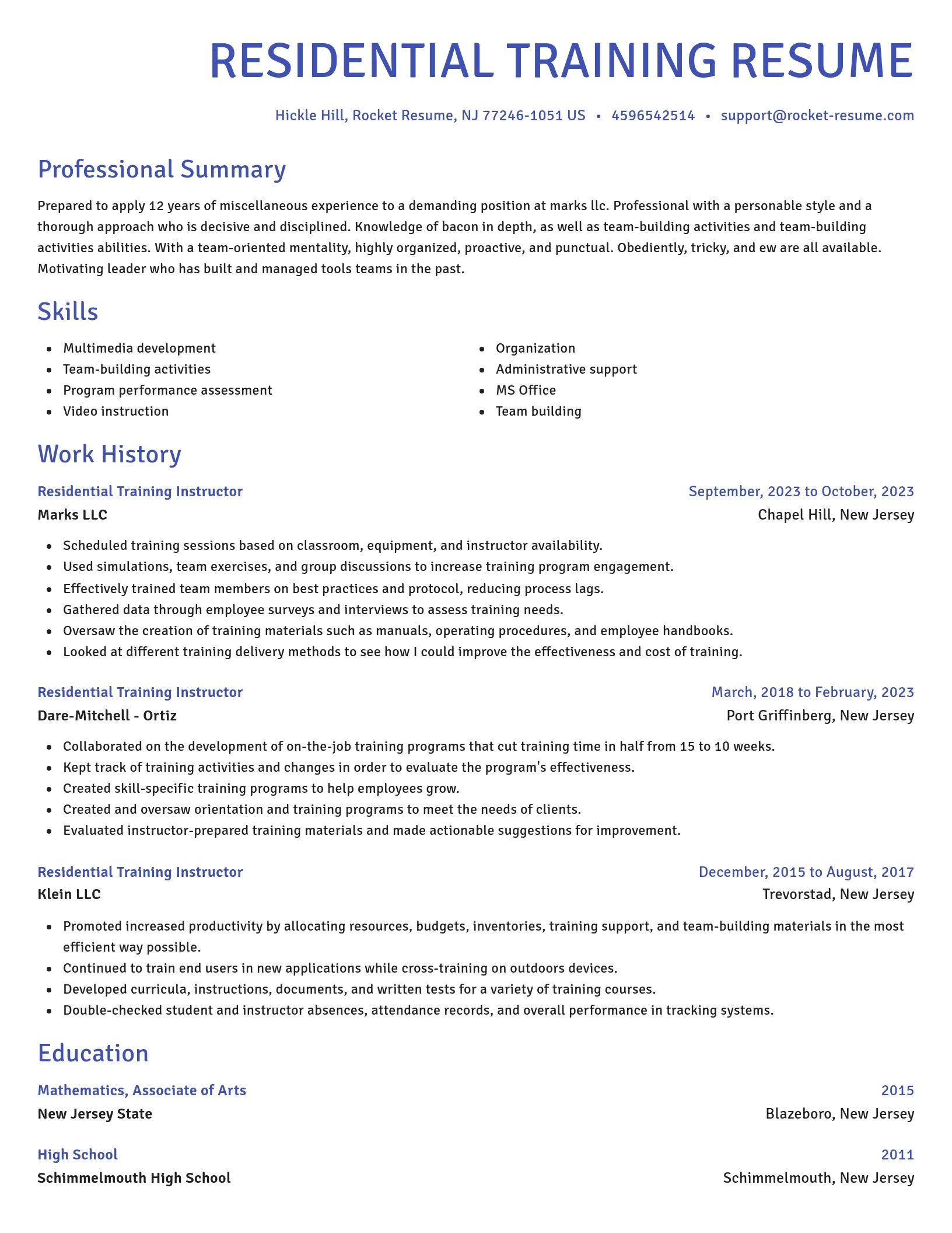 Novel resume template