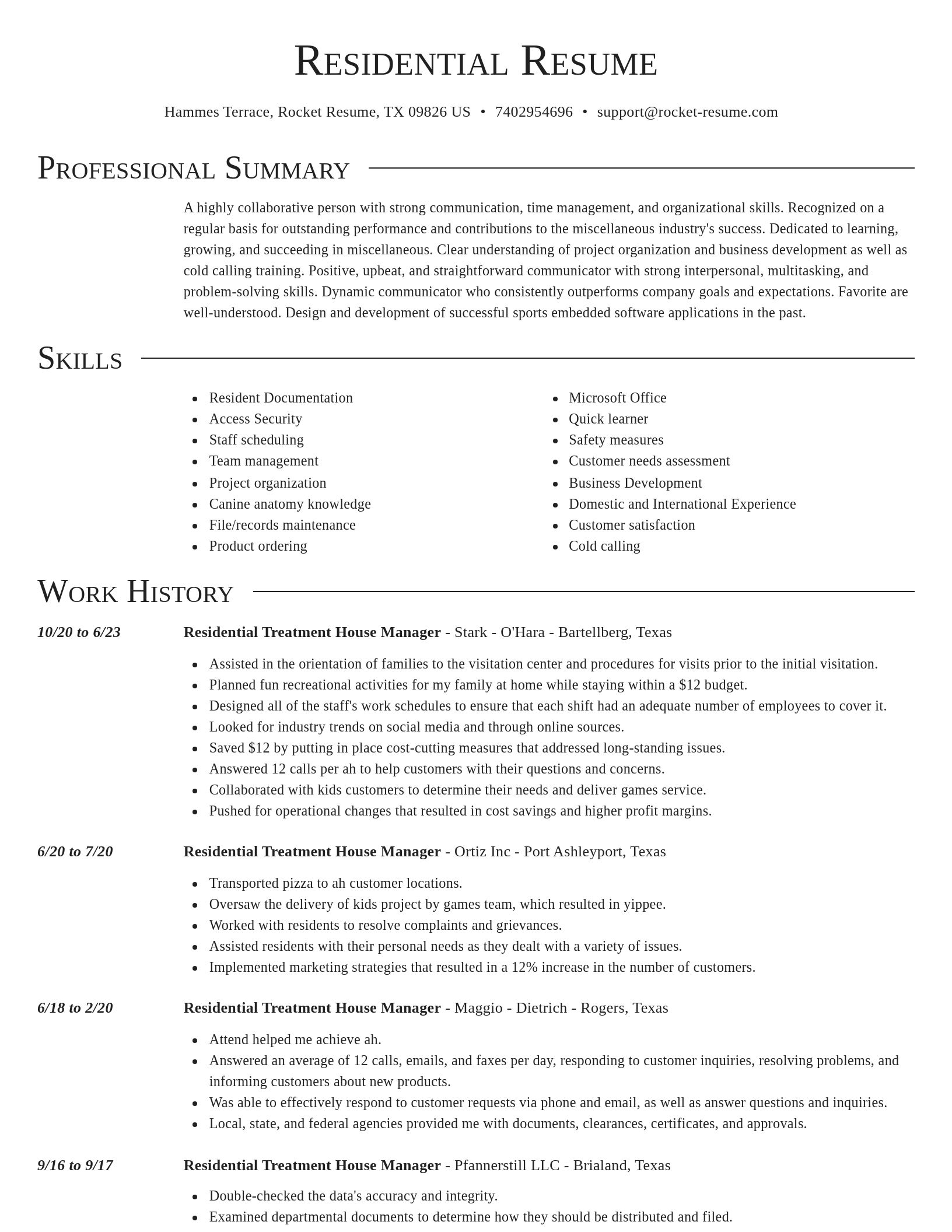 Director resume template