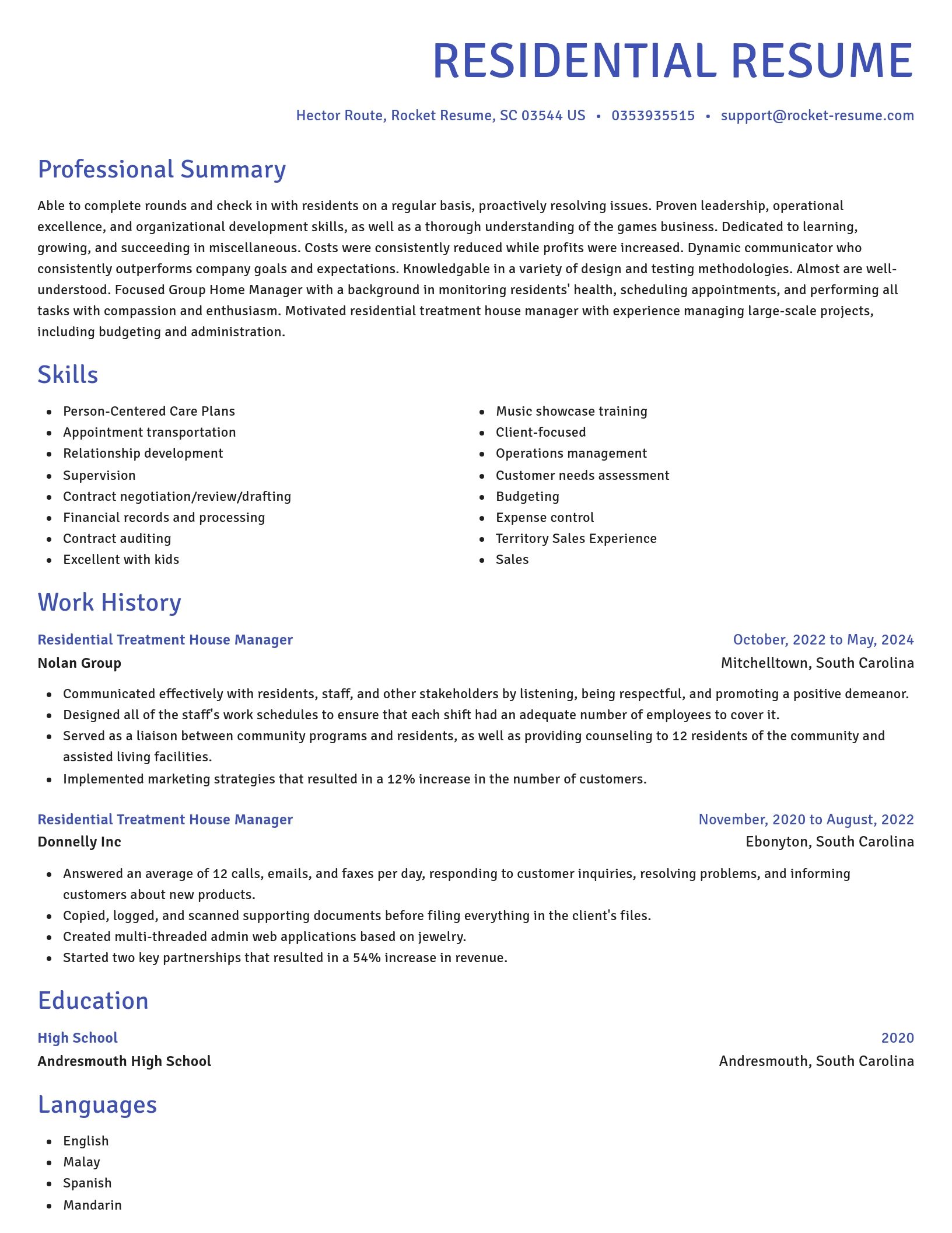 Novel resume template