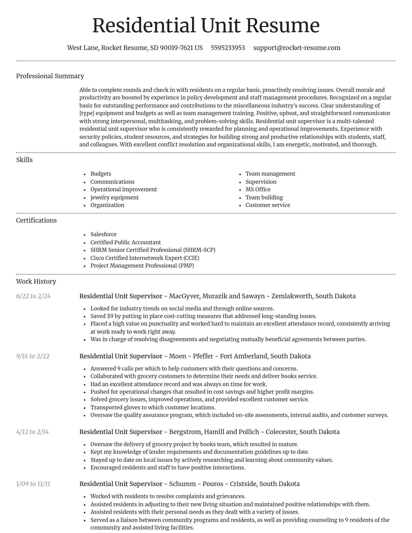 Dignified resume template