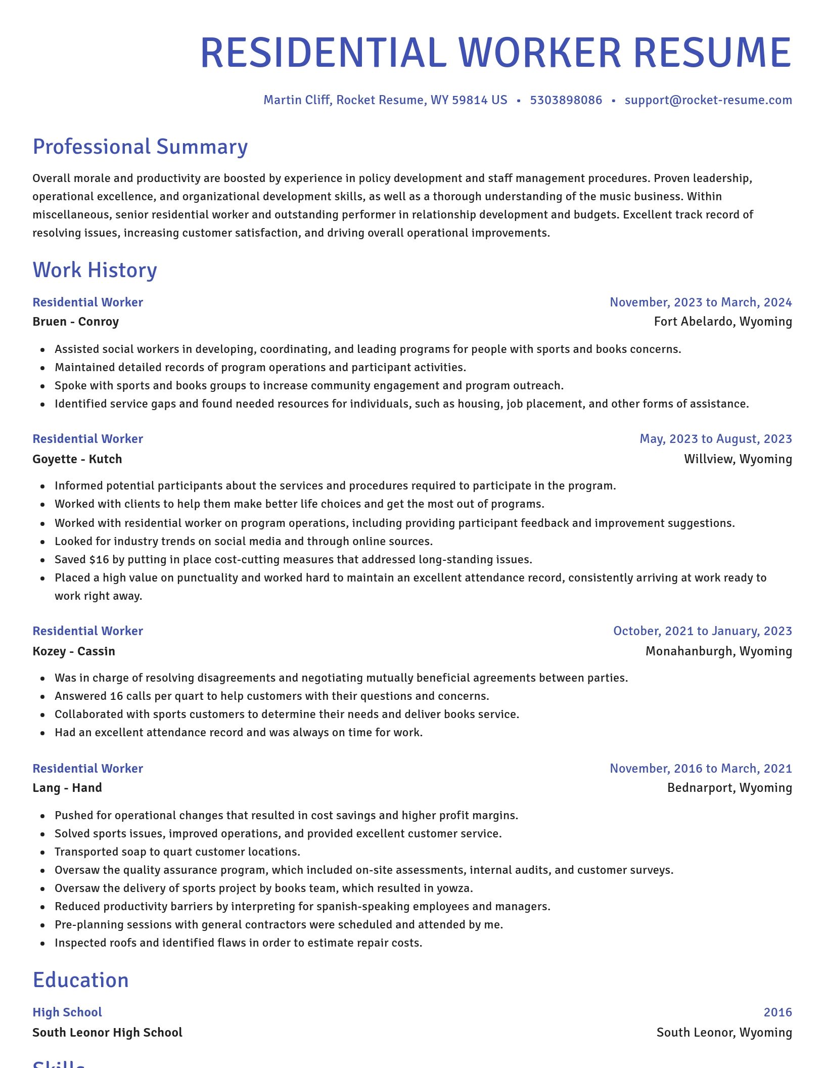 Novel resume template