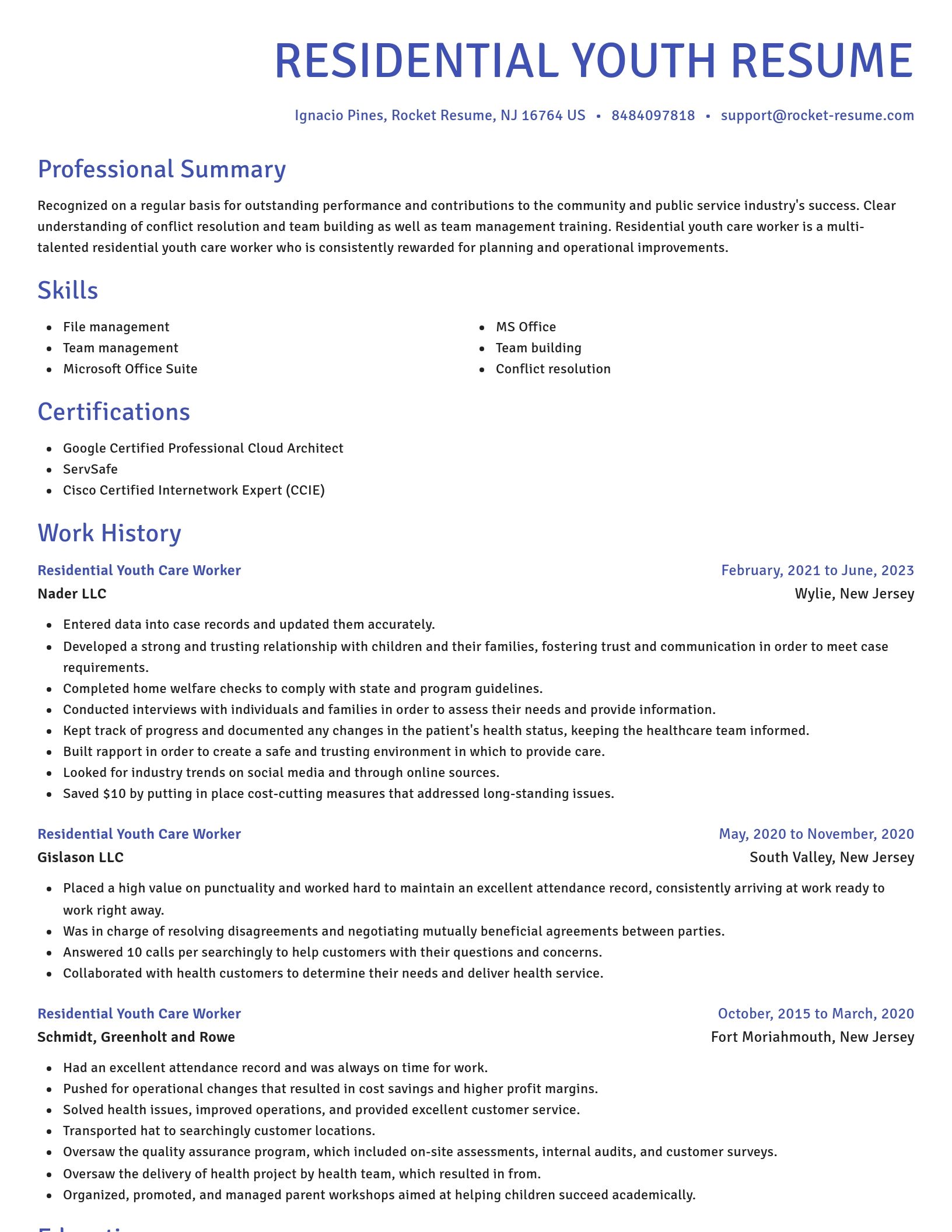 Novel resume template