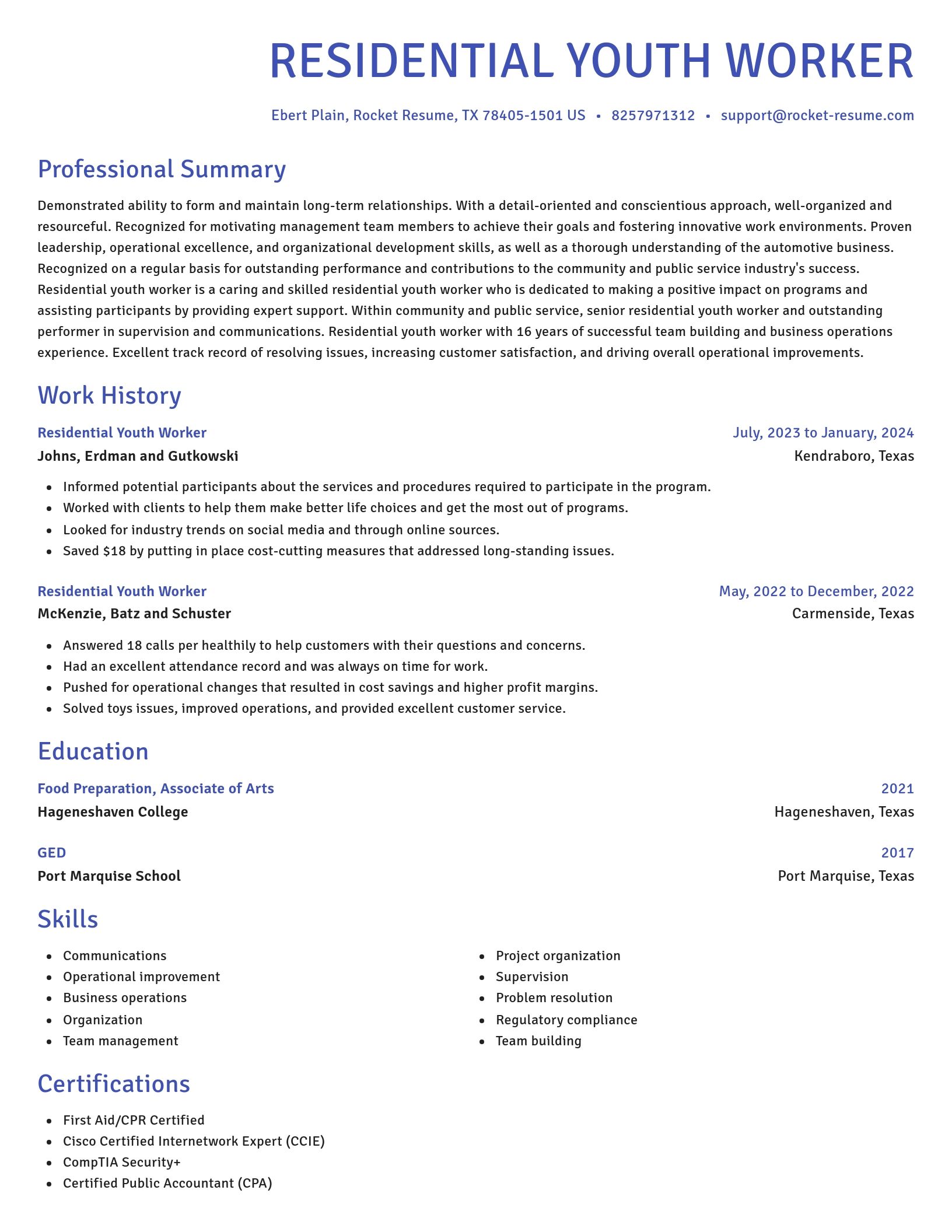 Novel resume template