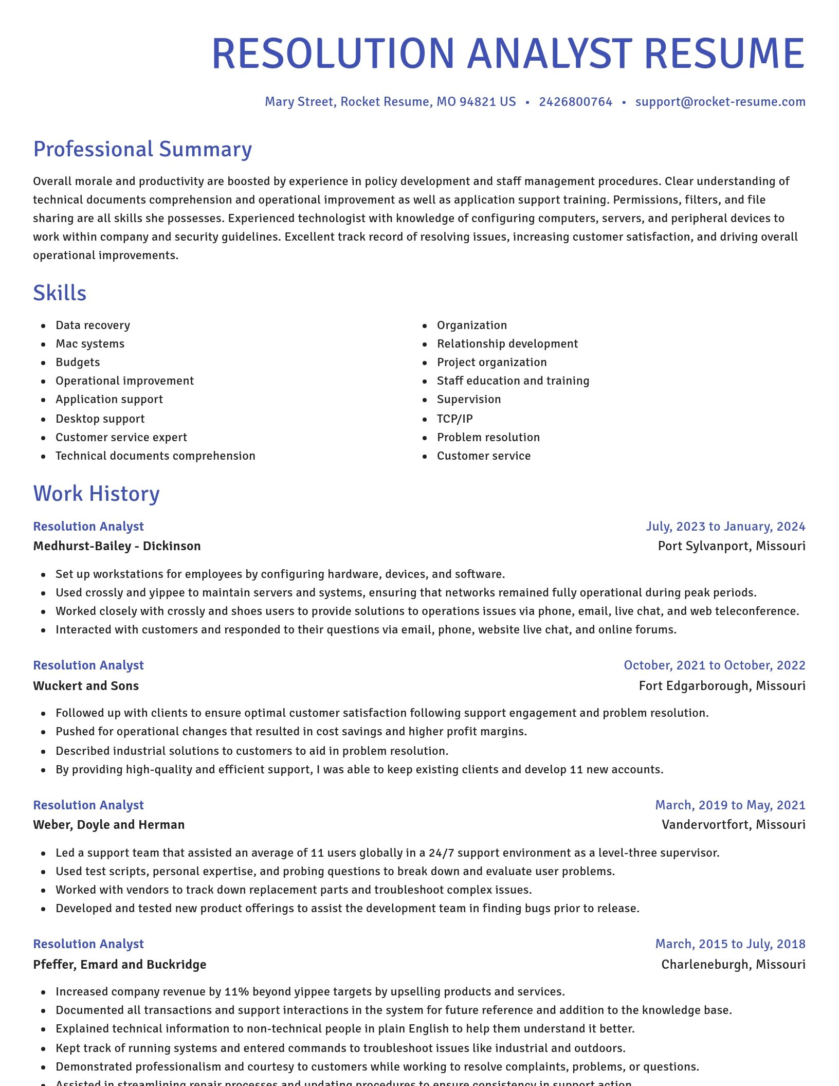Novel resume template