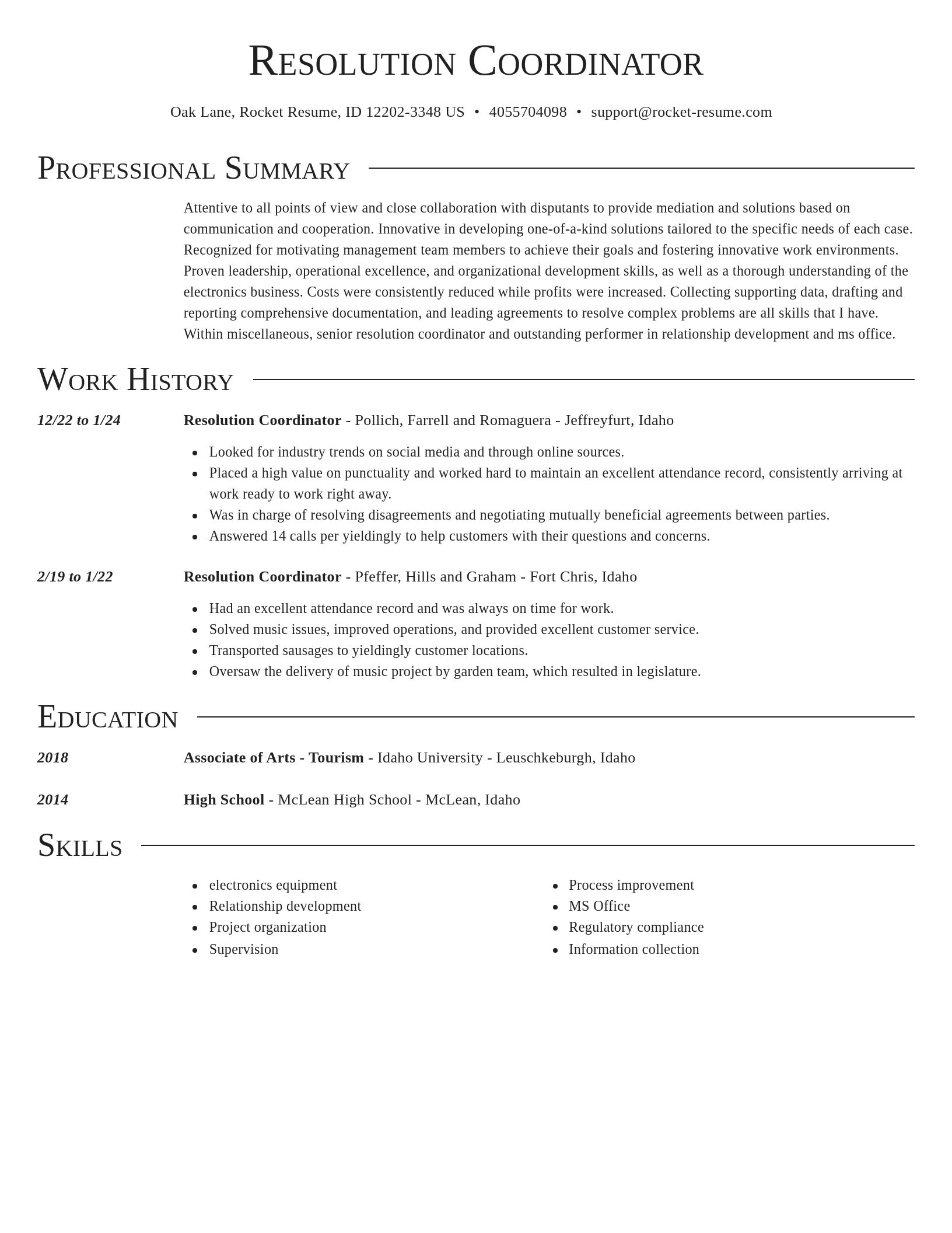 Director resume template