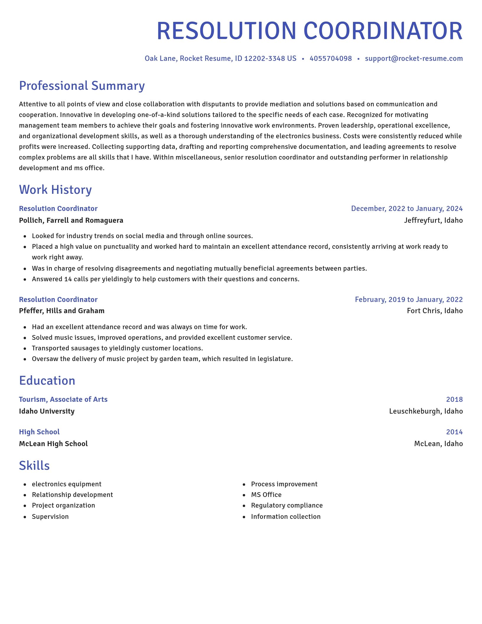 Novel resume template