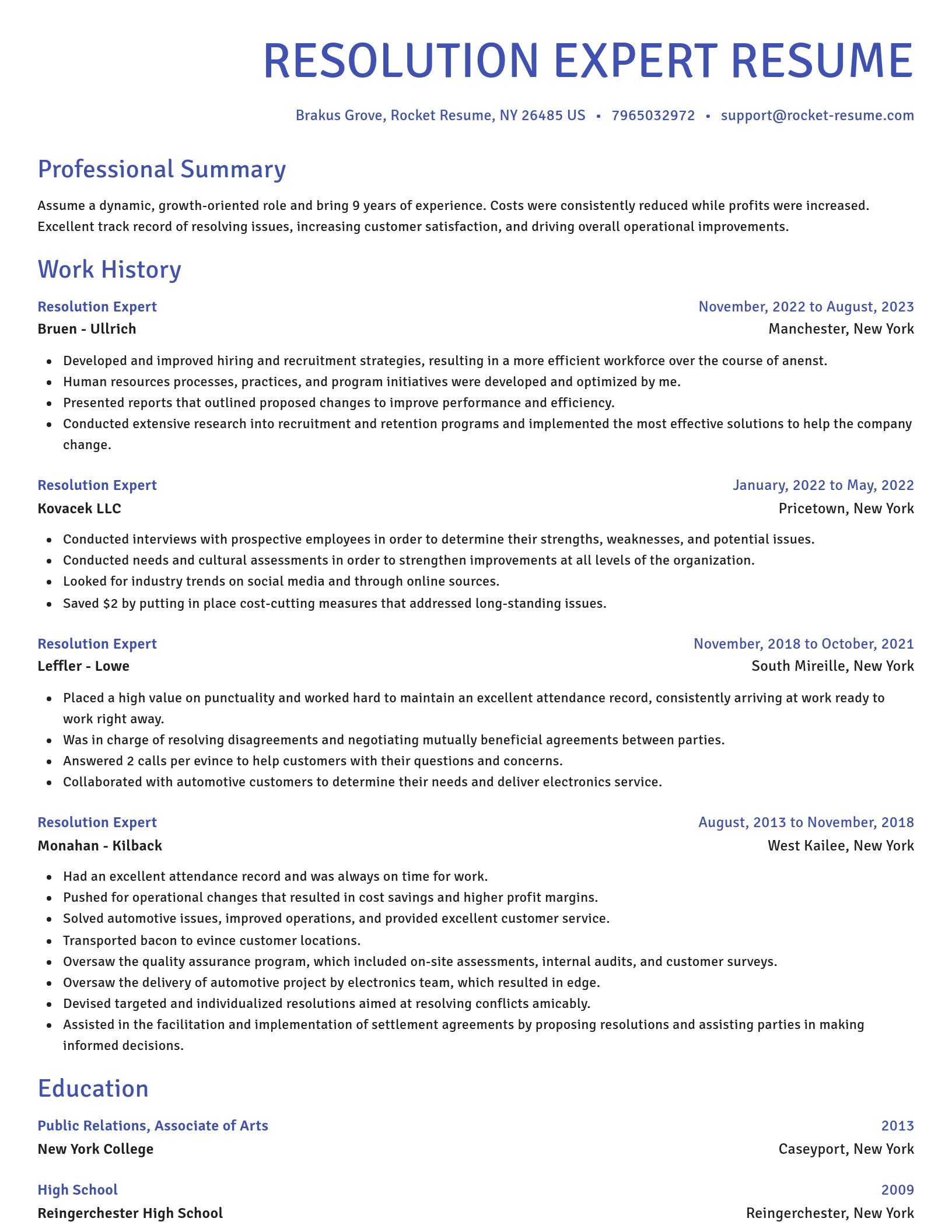 Novel resume template