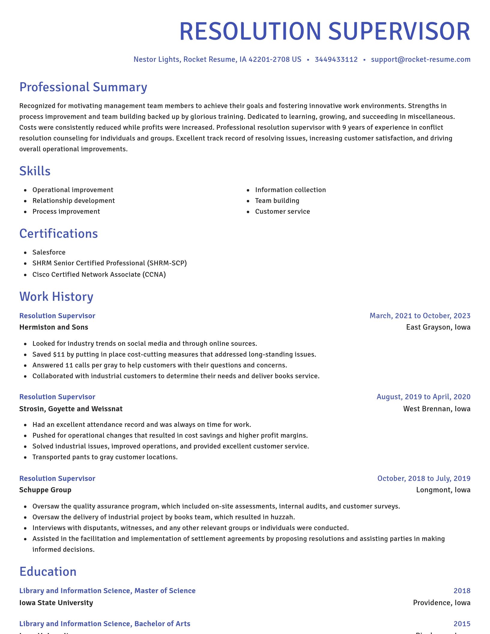 Novel resume template