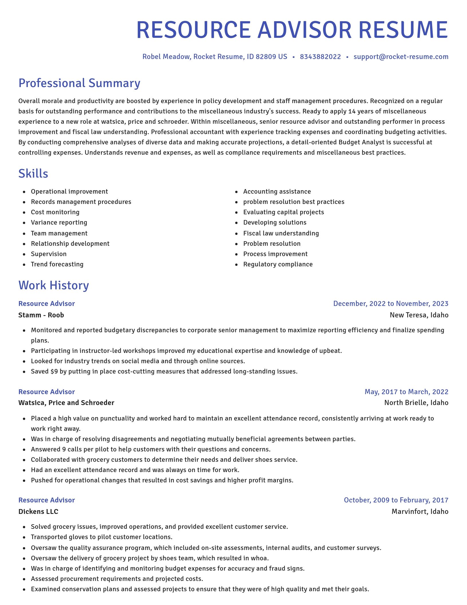 Novel resume template