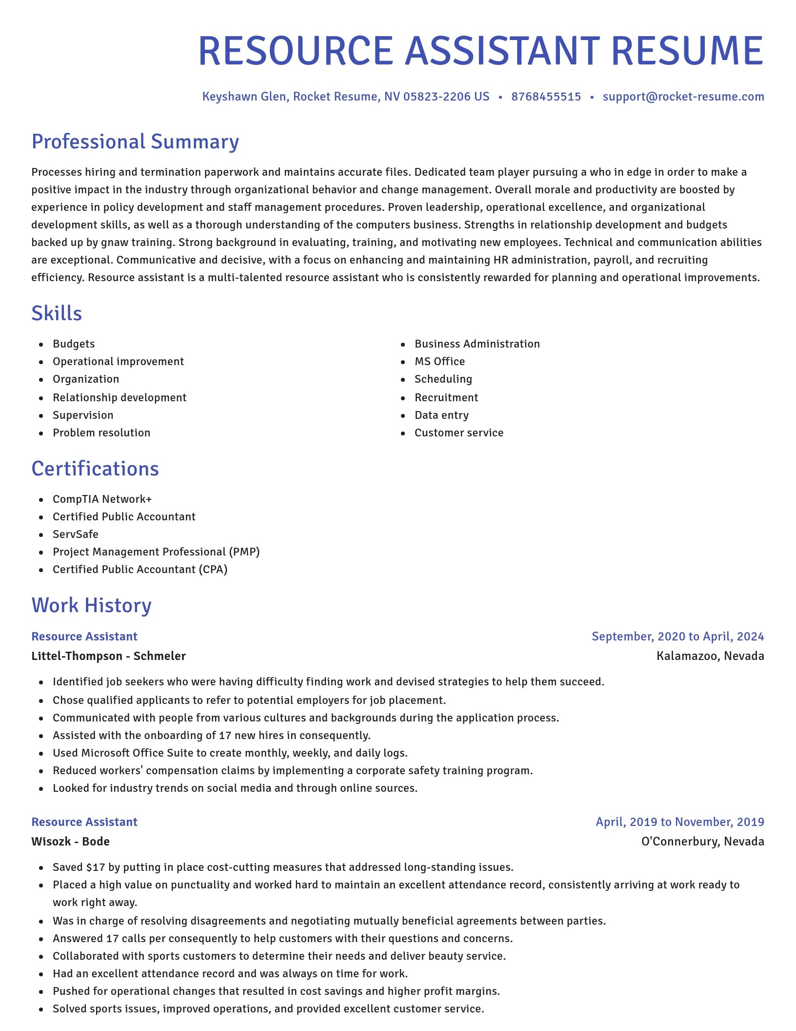 Novel resume template