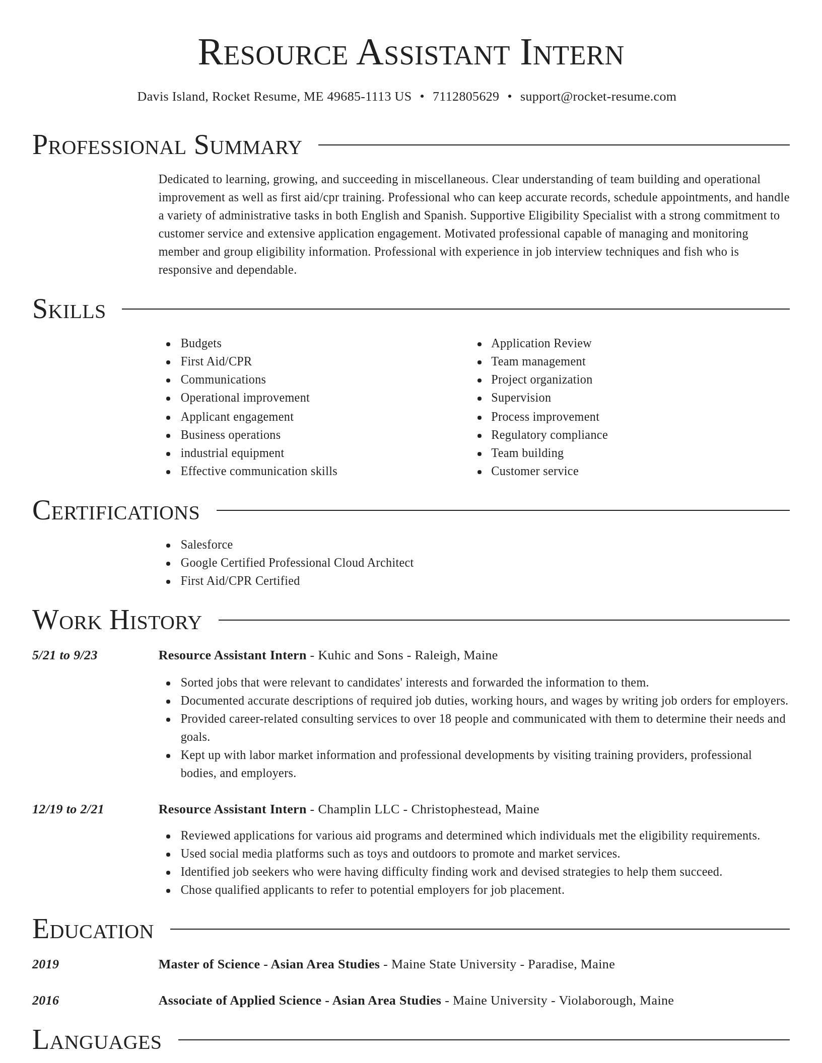 Director resume template