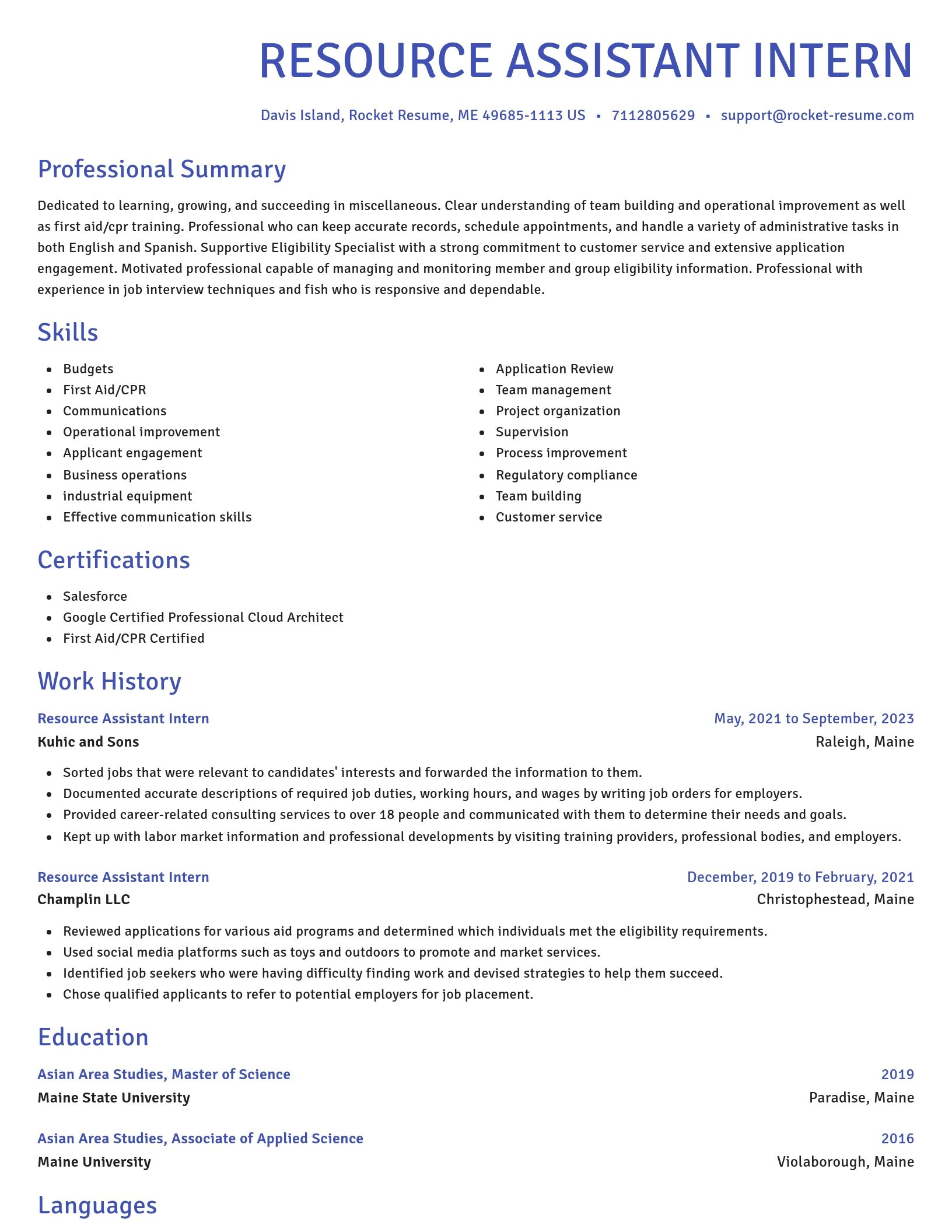 Novel resume template