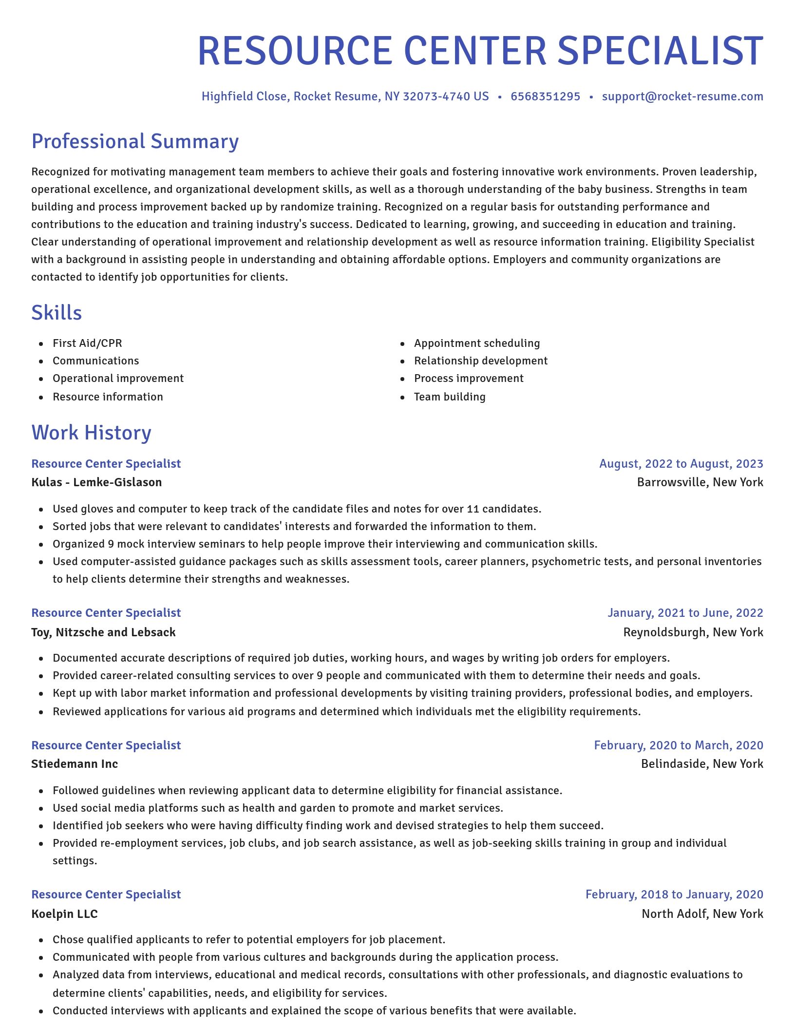 Novel resume template