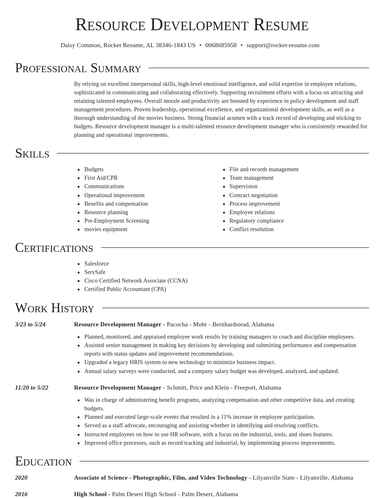 Director resume template