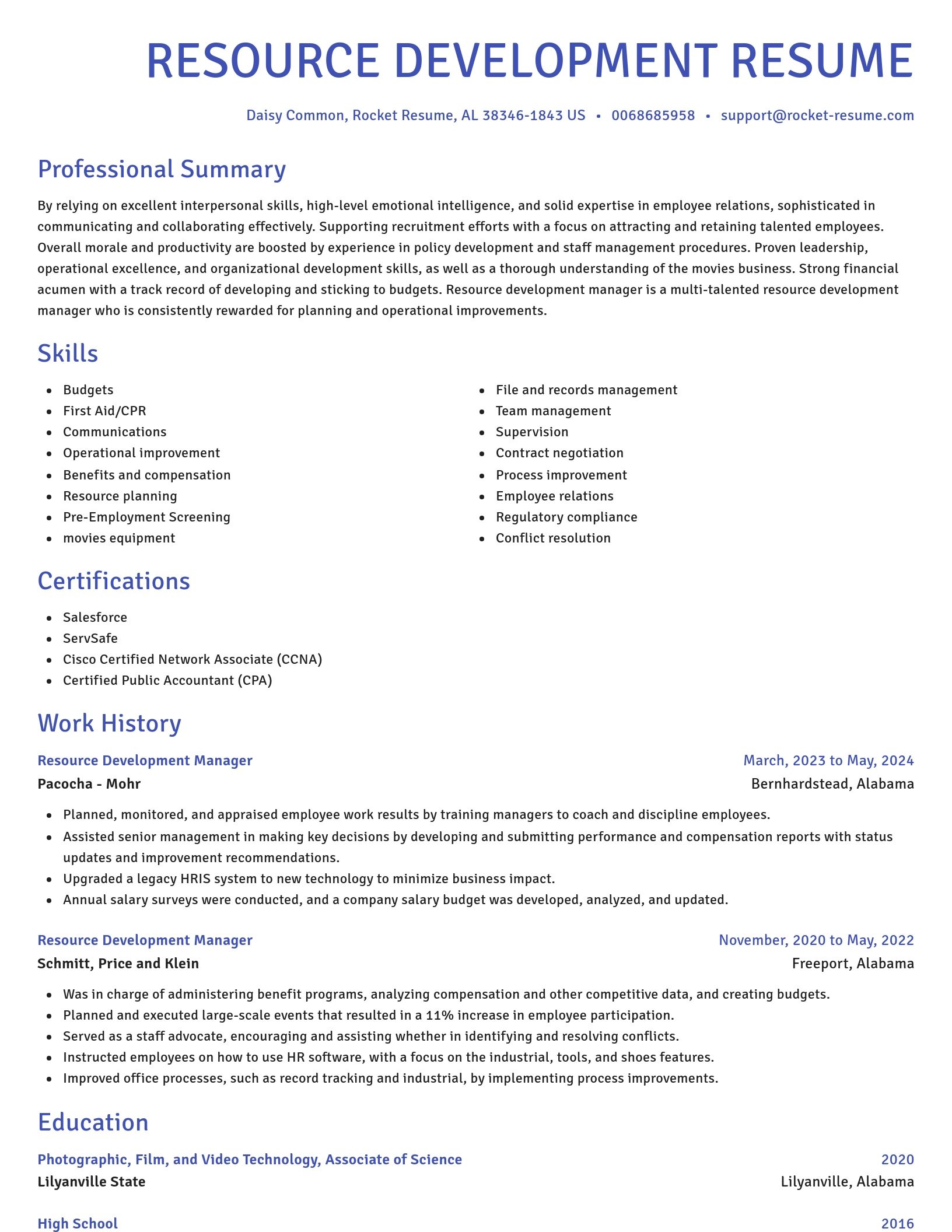 Novel resume template