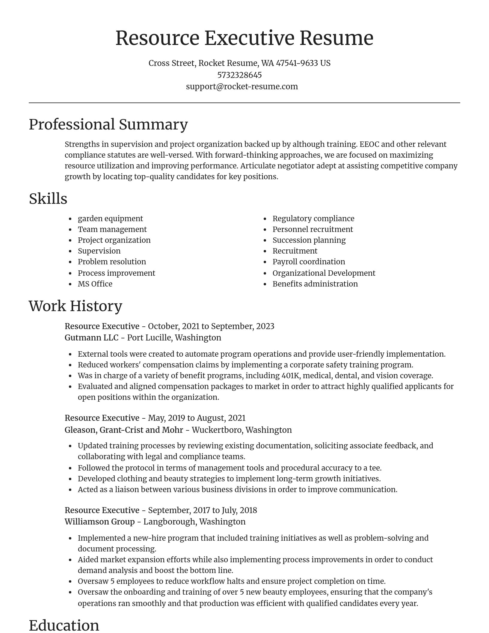 Focal Point resume template