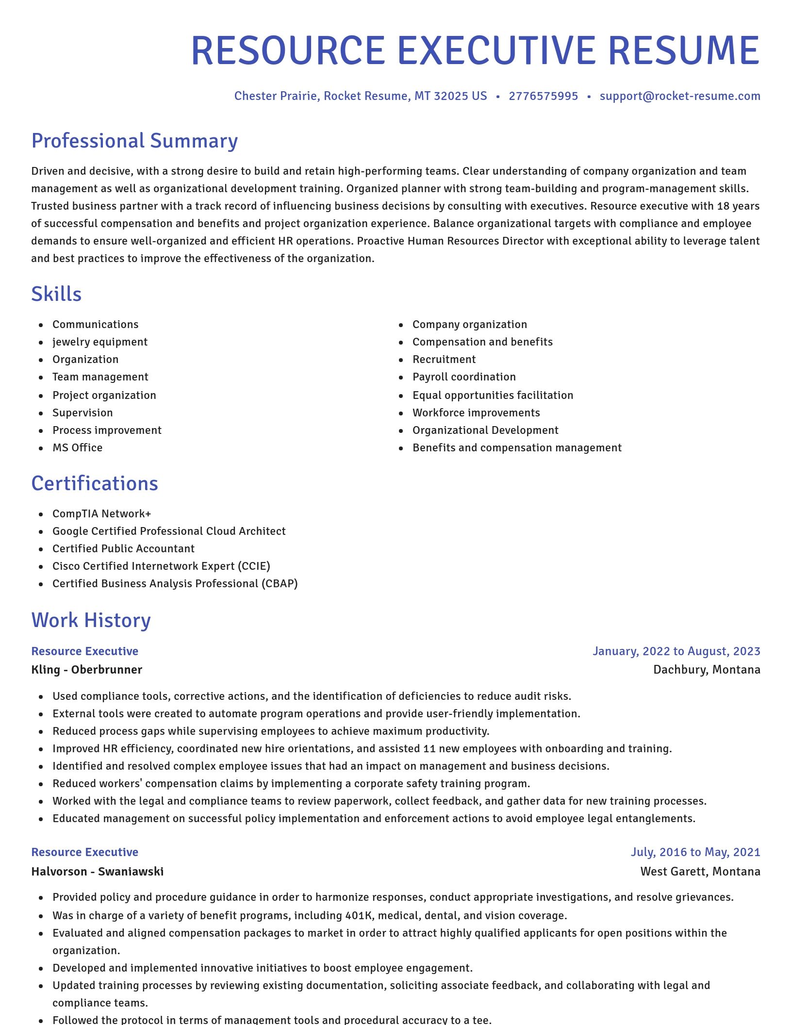 Novel resume template