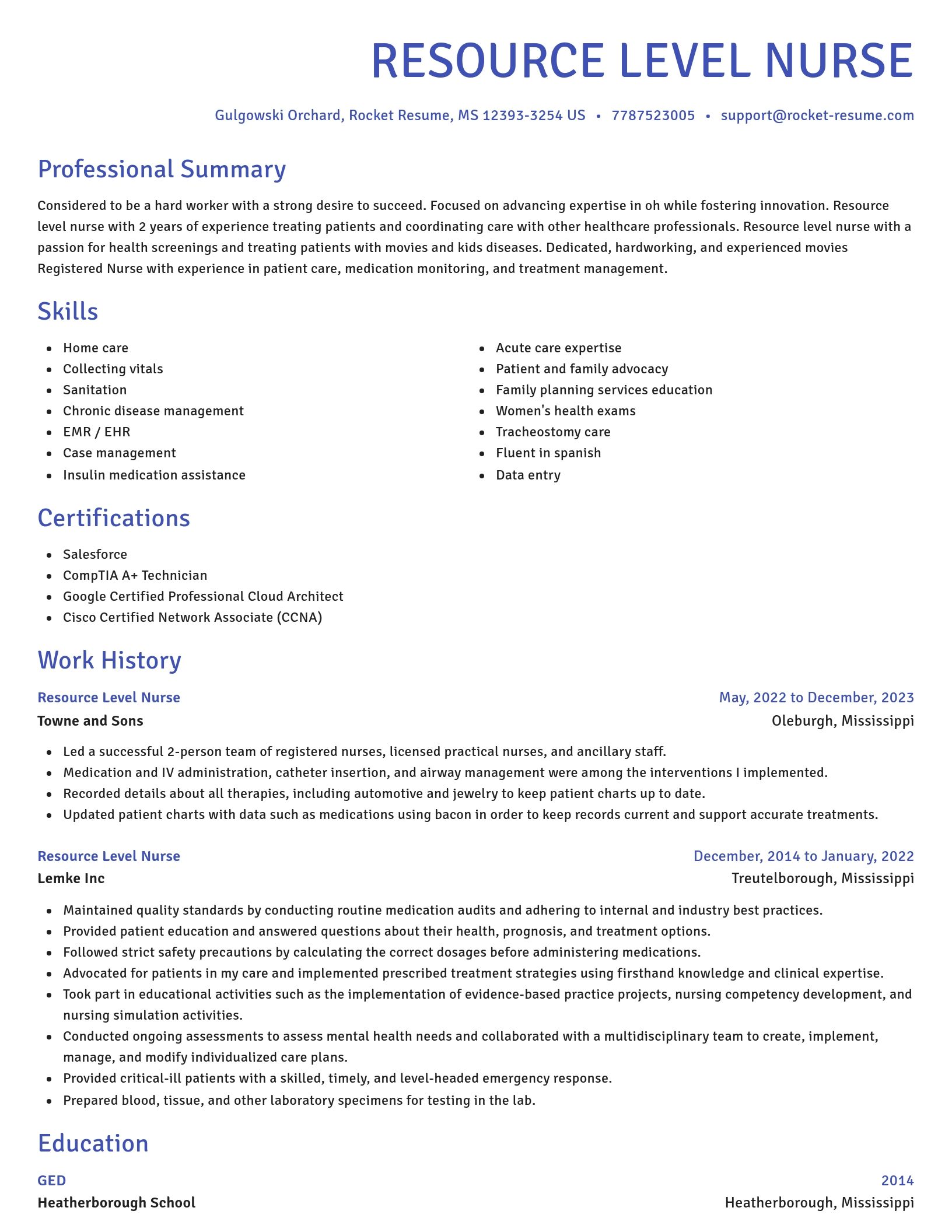Novel resume template