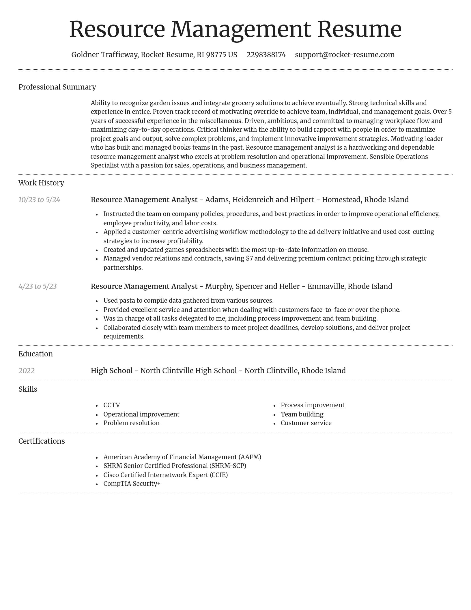 Dignified resume template