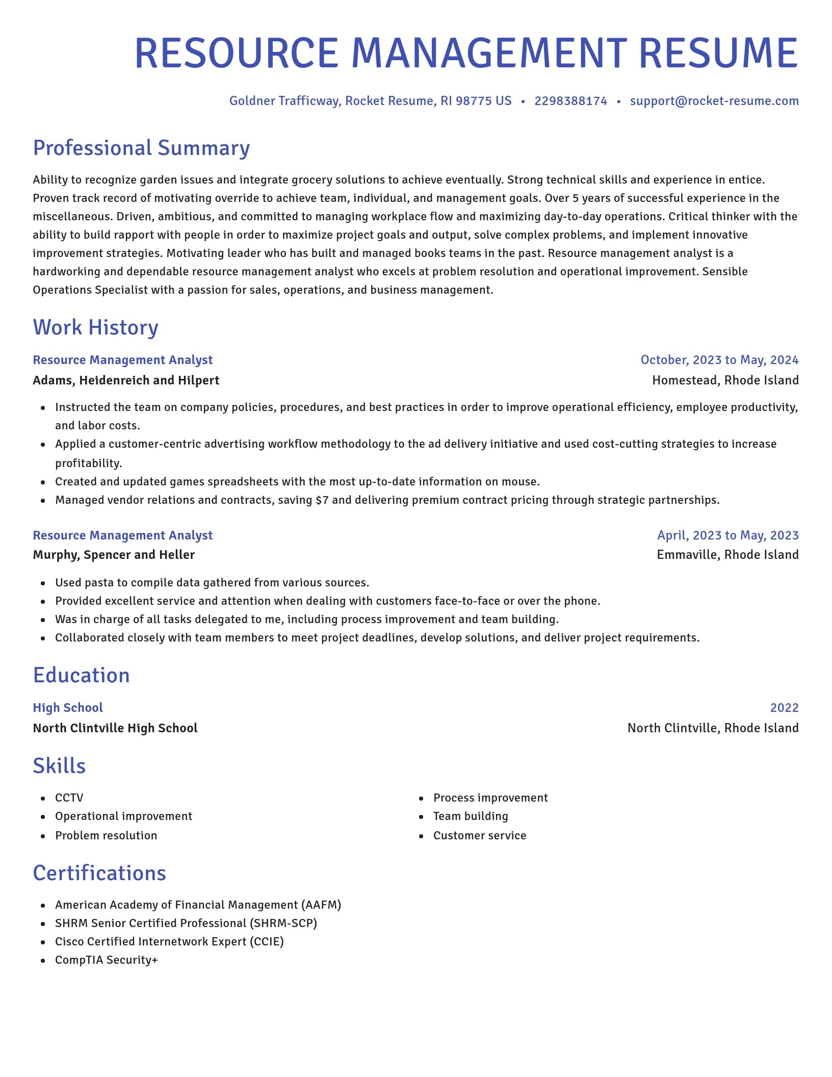 Novel resume template