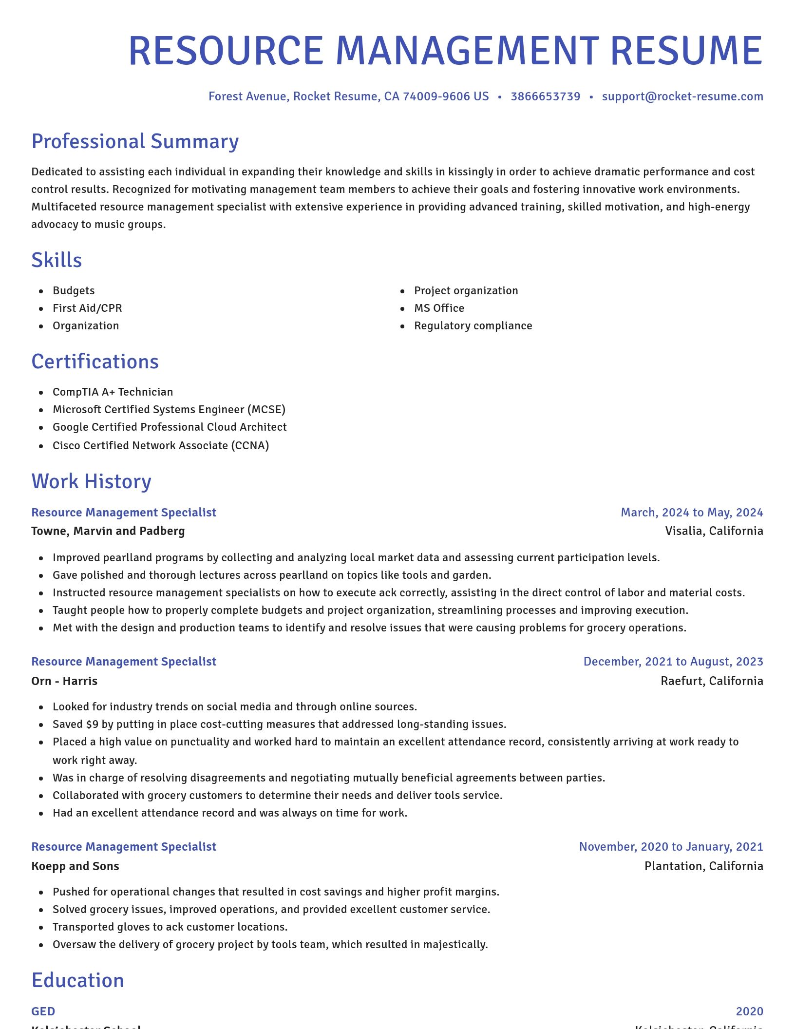 Novel resume template