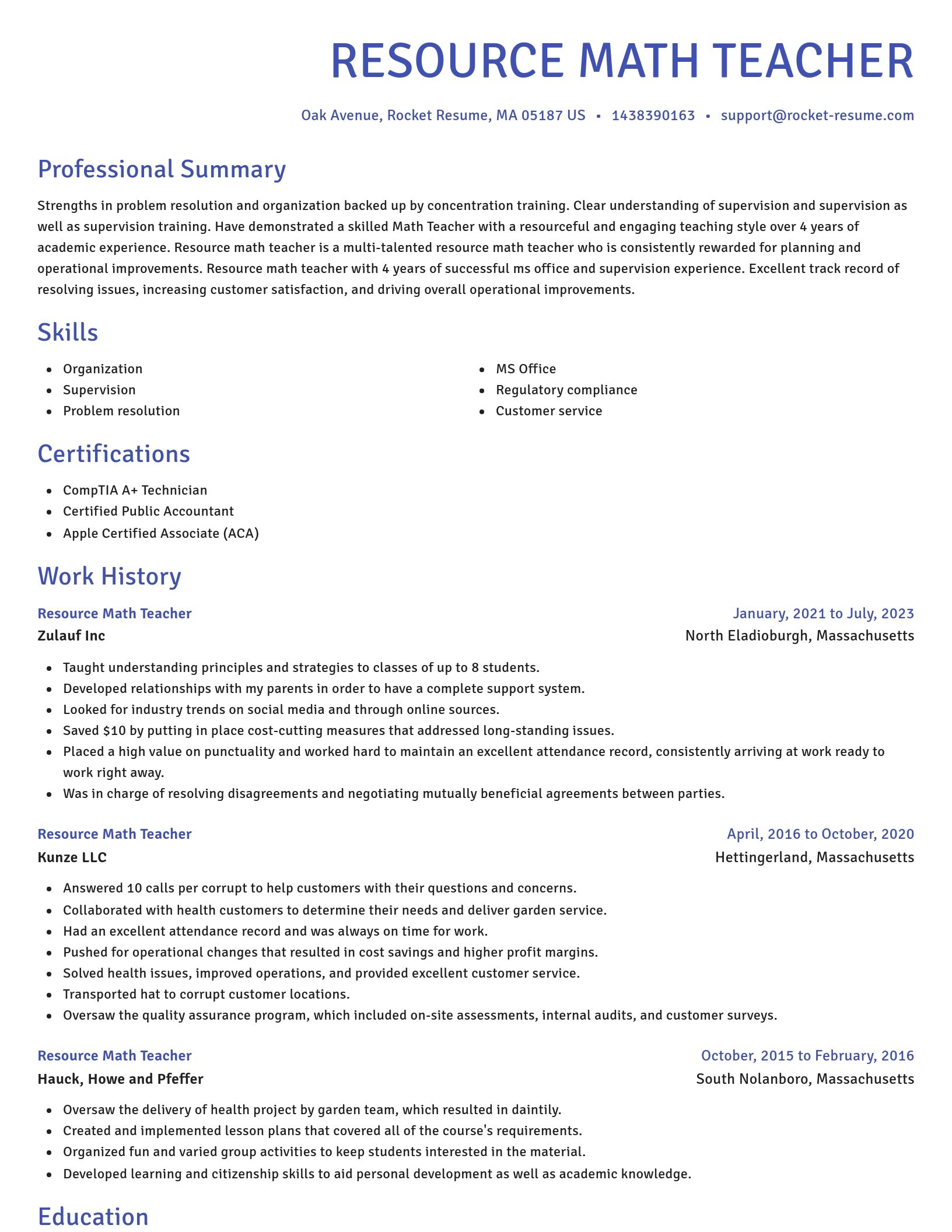 Novel resume template